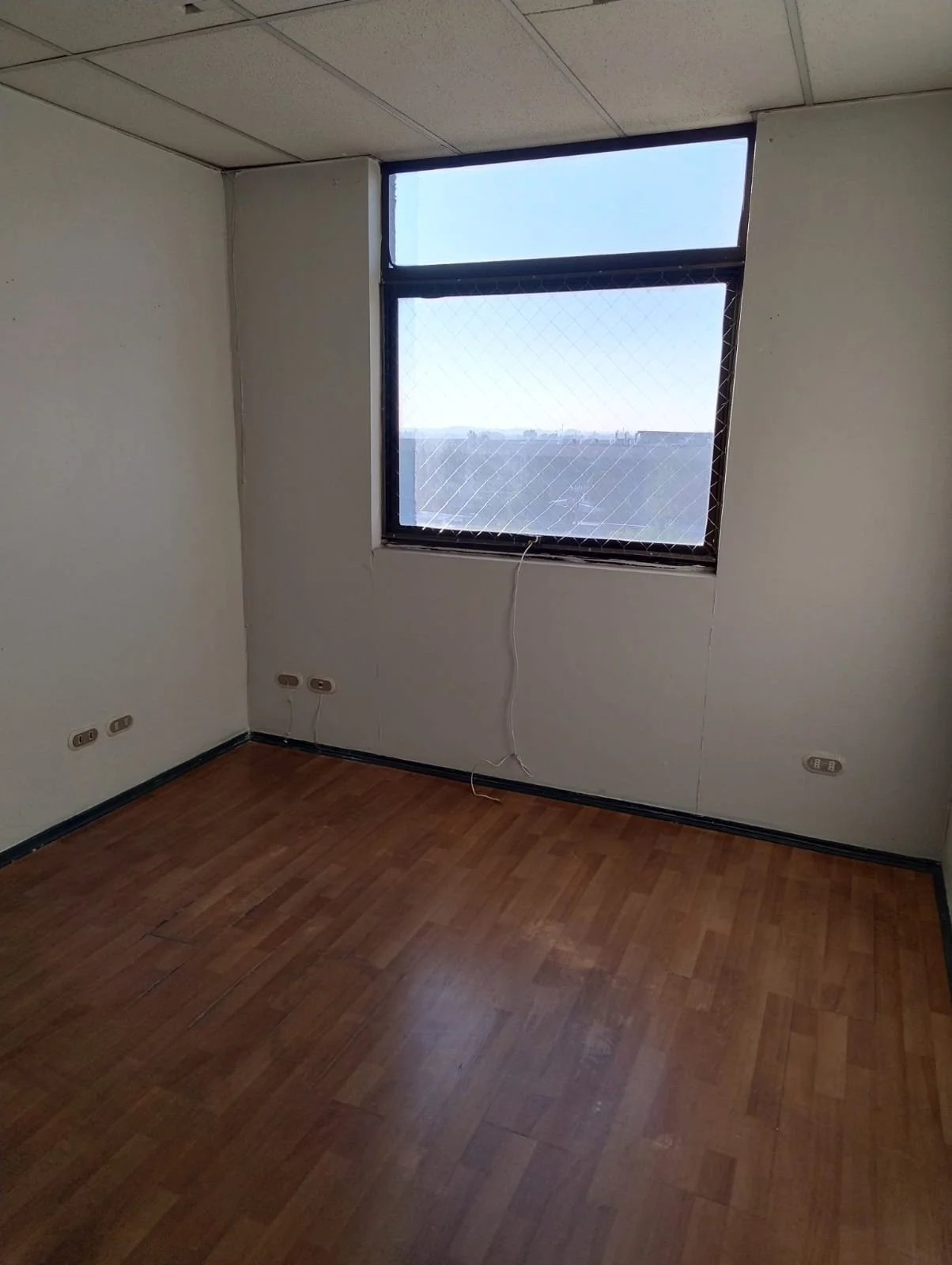 oficina freixas11.jpeg