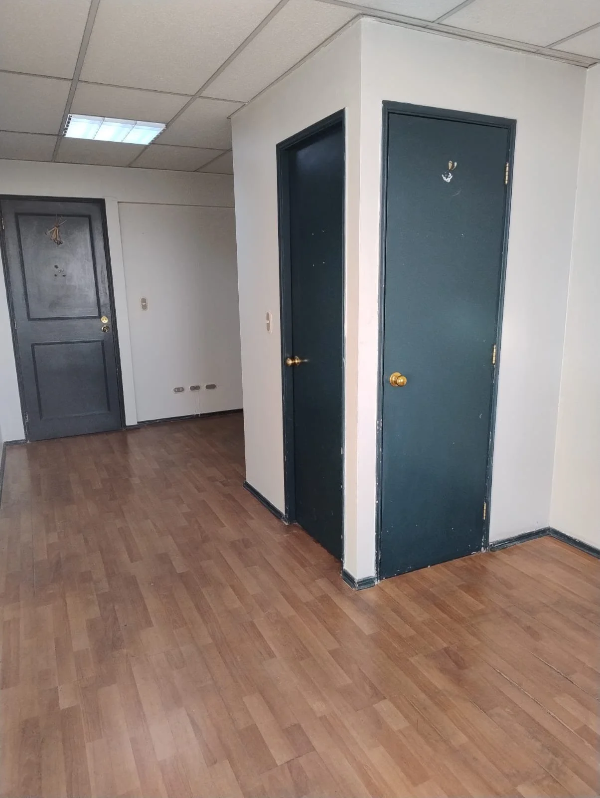 oficina freixas9.jpeg