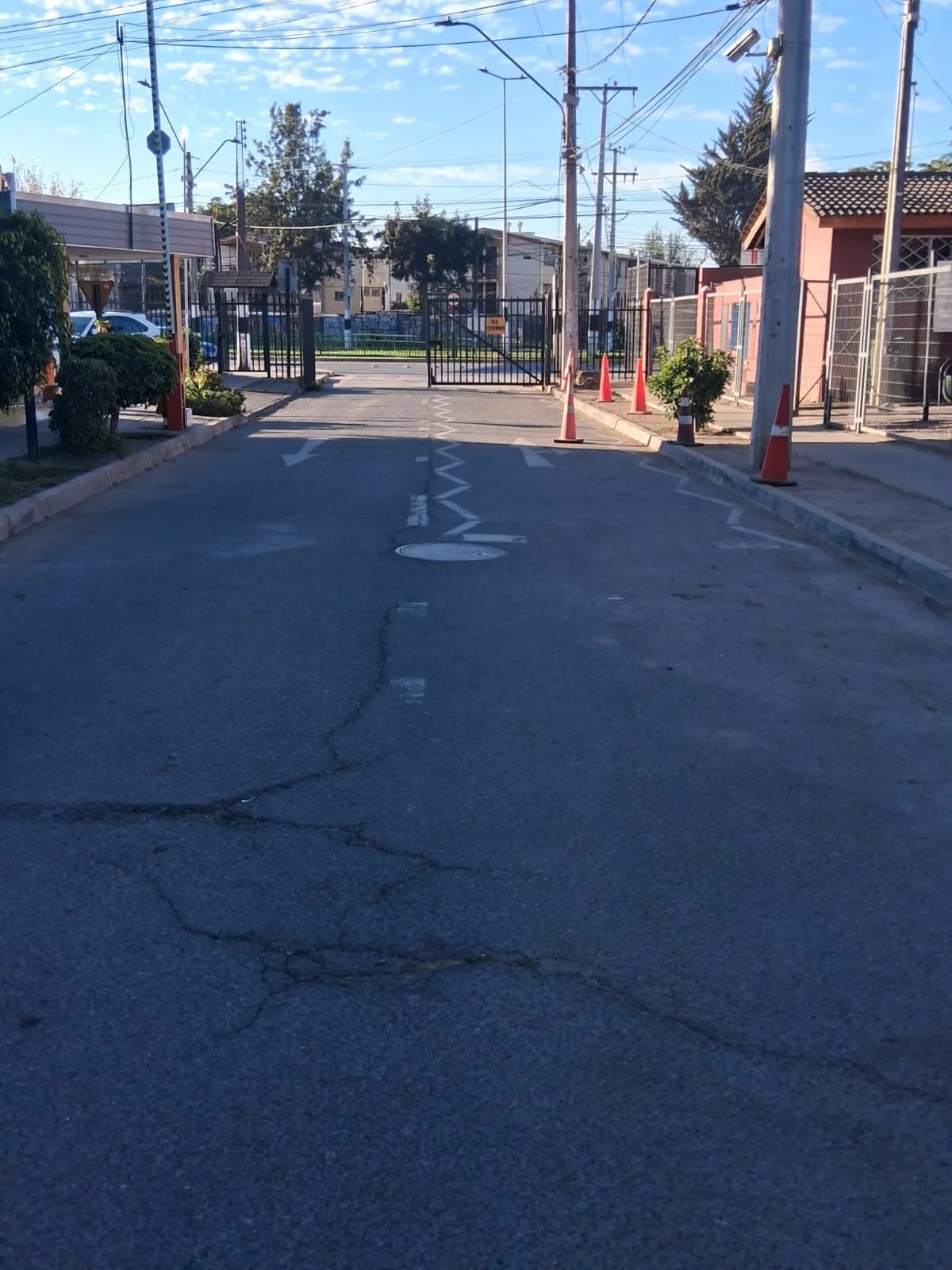 lecheria3.jpeg