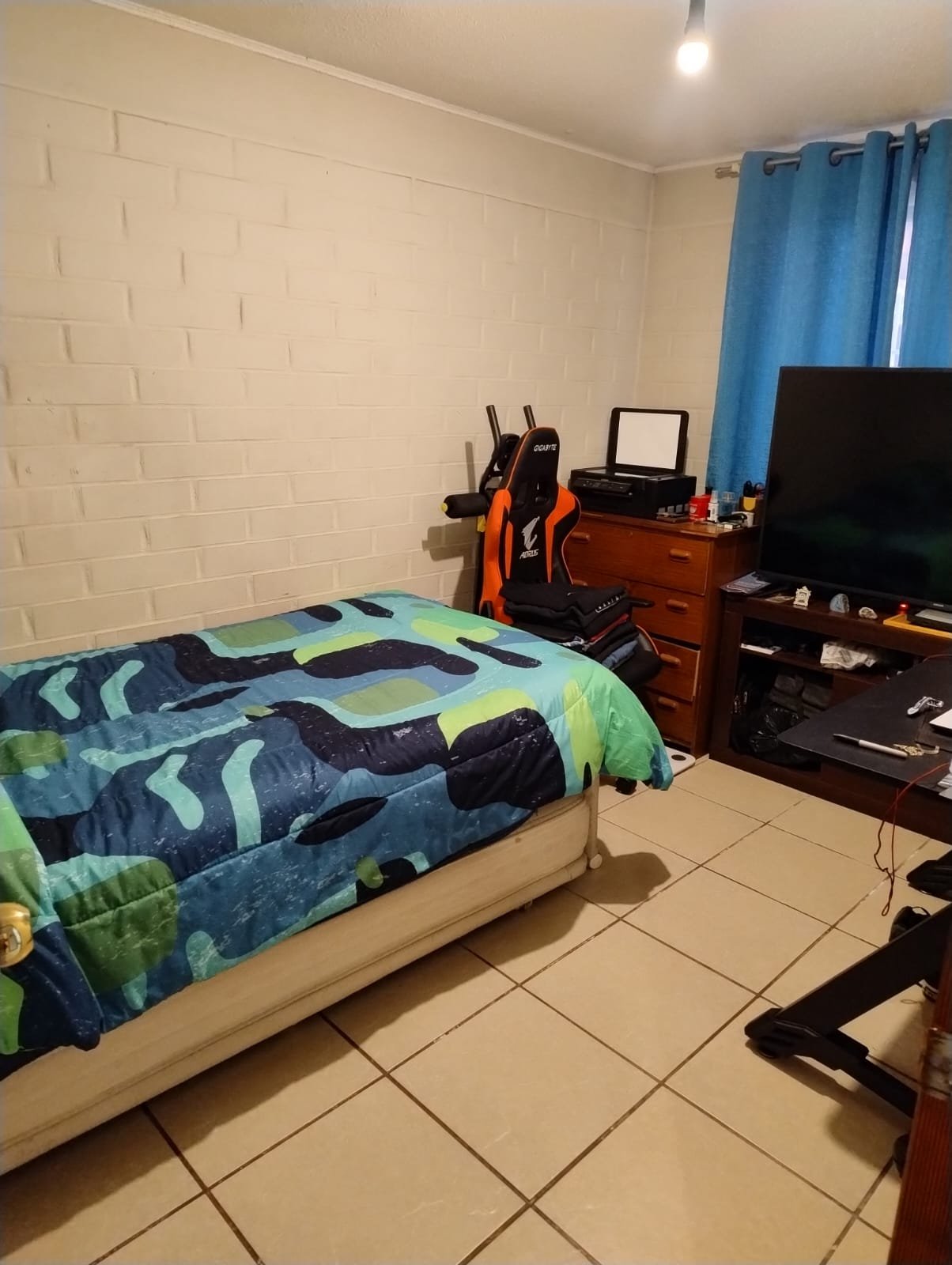 rugendas8.jpeg