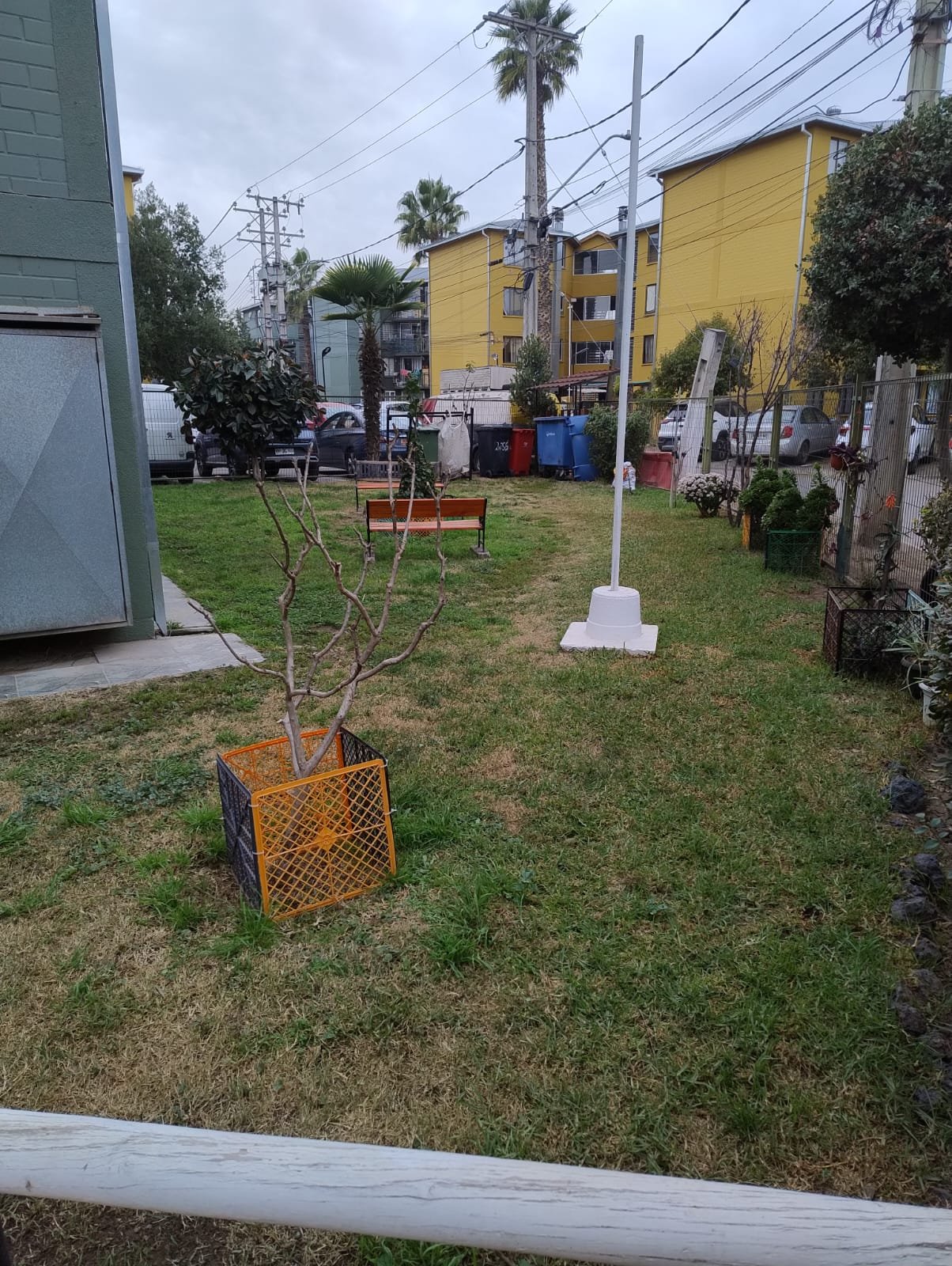 serrano19.jpeg