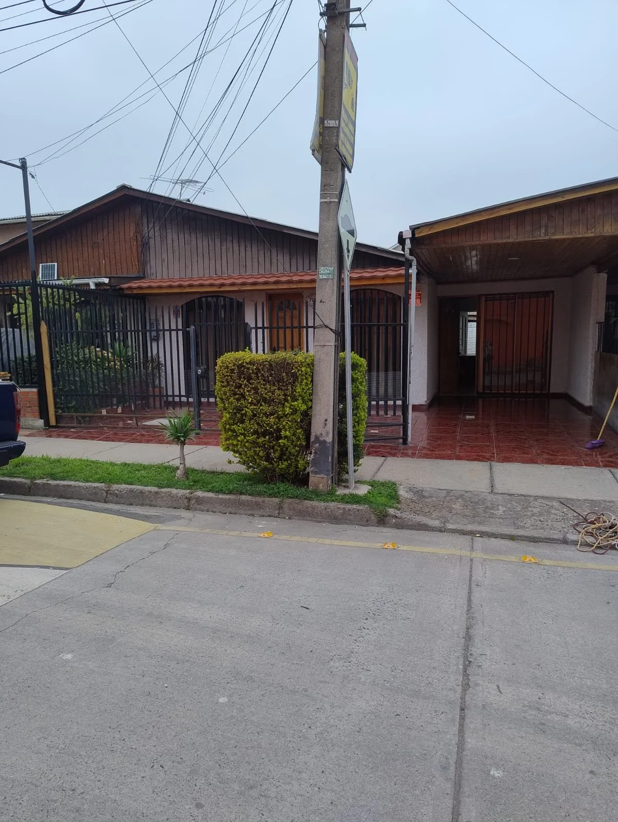 pepeabad1.jpeg