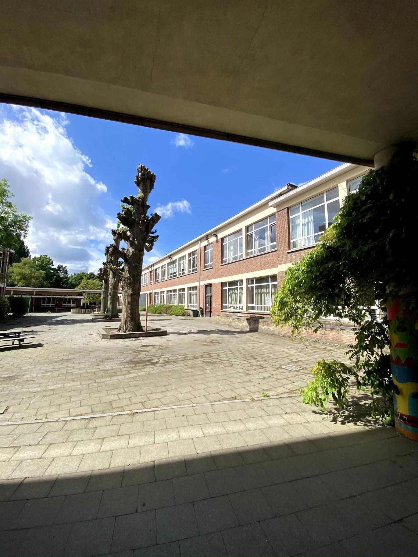 school 5.jpg