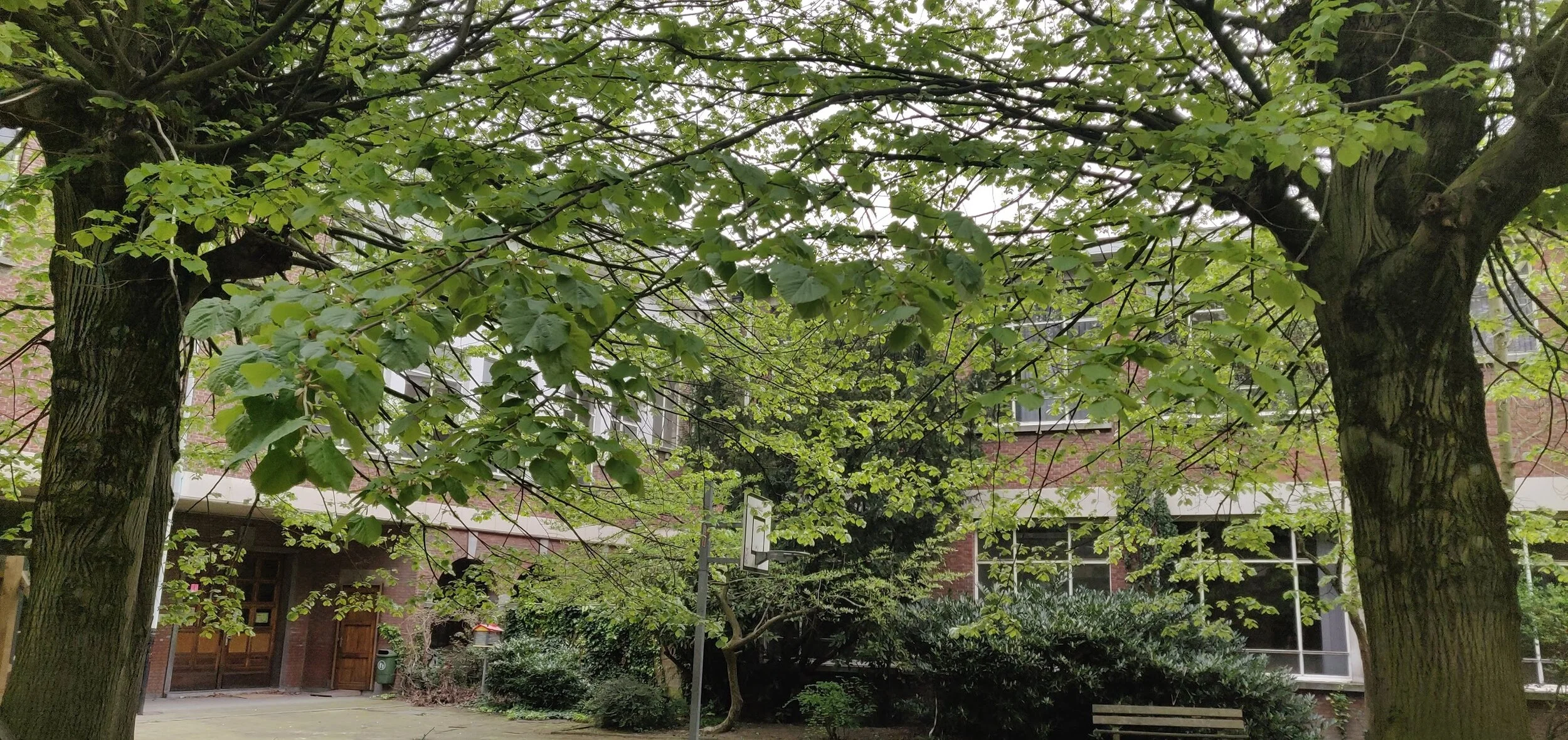 school25.jpg