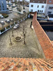 dam10.jpg