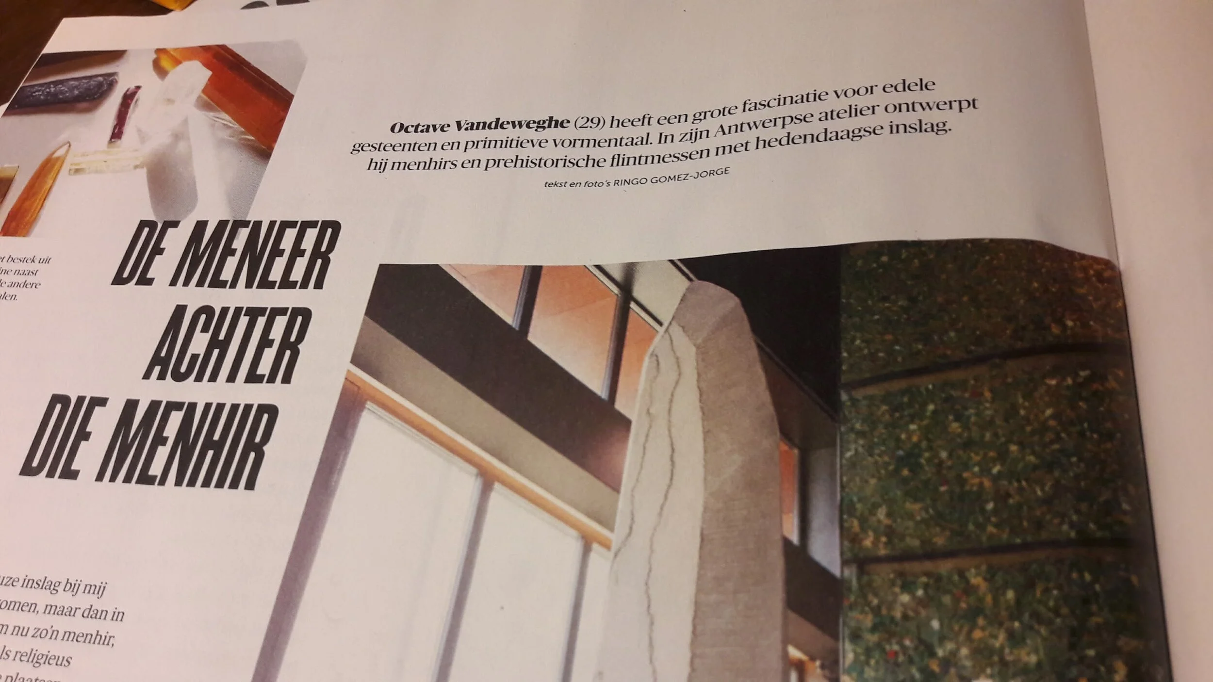 mosterd5.jpg