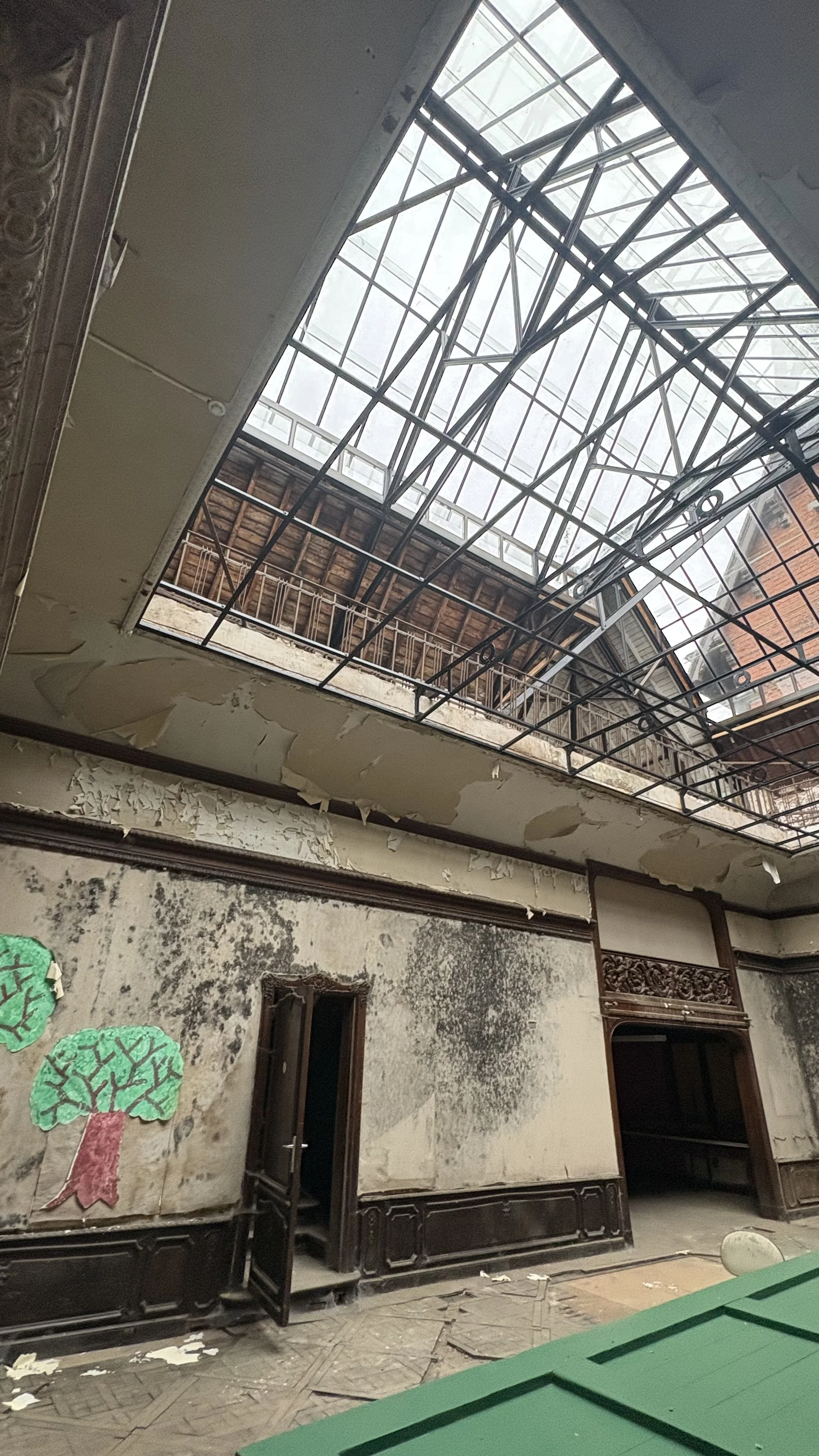 IMG_2060.jpeg