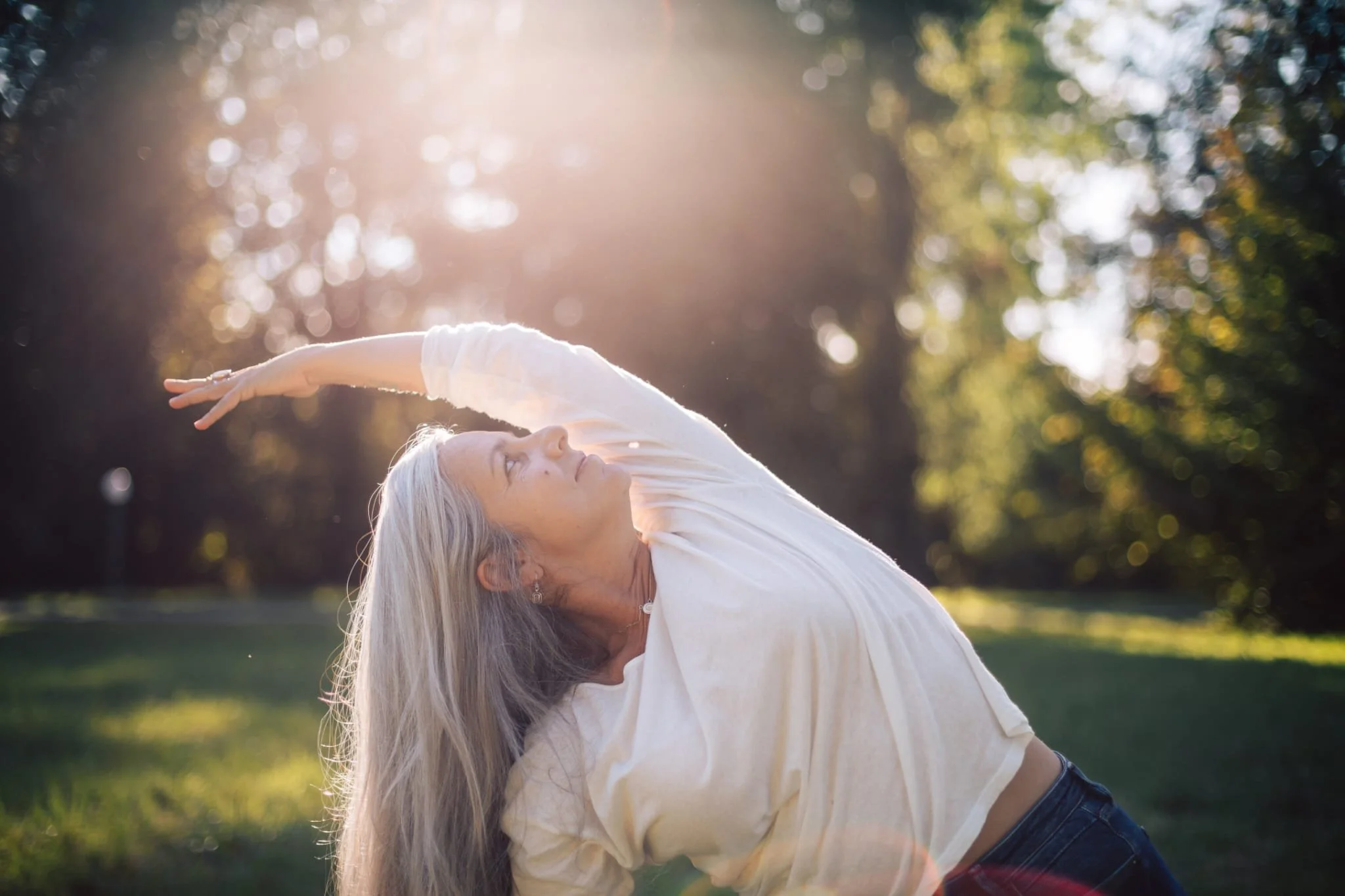 Embodied Energy Flow 