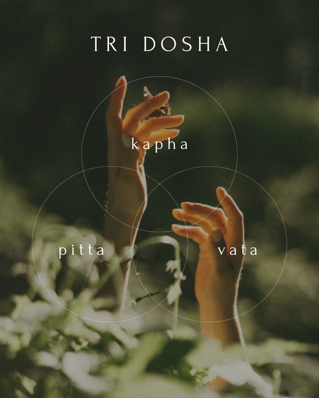 Vielleicht hast du dich in einem der Doshas wiedergefunden.

🌱🔥💧🌬️🌀

In dem, was dich tr&auml;gt .. und in dem, was dich manchmal aus dem Gleichgewicht bringt.

Ayurveda erinnert uns daran, dass wir Teil des gr&ouml;&szlig;eren Ganzen sind: 
Tei