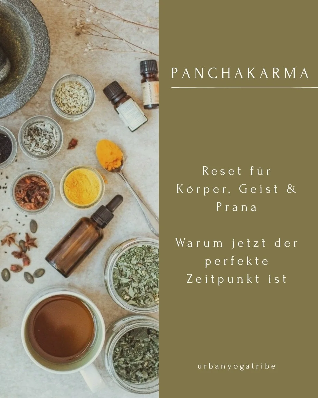 Der Fr&uuml;hling tr&auml;gt die Qualit&auml;t von Kapha 🌀
eine Zeit des L&ouml;sens, des &Uuml;bergangs und des inneren Kl&auml;rens.
Alles Alte darf in dieser Zeit abgestreift, losgelassen und weitergegeben werden. Zur&uuml;ck in die Erde. Dorthin