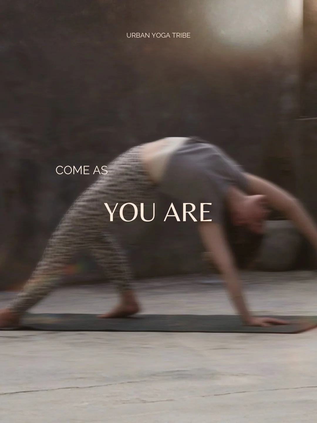 Es geht es nicht darum, besser zu sein.
Nur darum, da zu sein. ✨

Somatic Yoga interessiert sich nicht daf&uuml;r,
wie es von au&szlig;en aussieht.

Sondern daf&uuml;r, wie es sich innen anf&uuml;hlt.

Es beginnt nicht mit der perfekten Form,
sondern