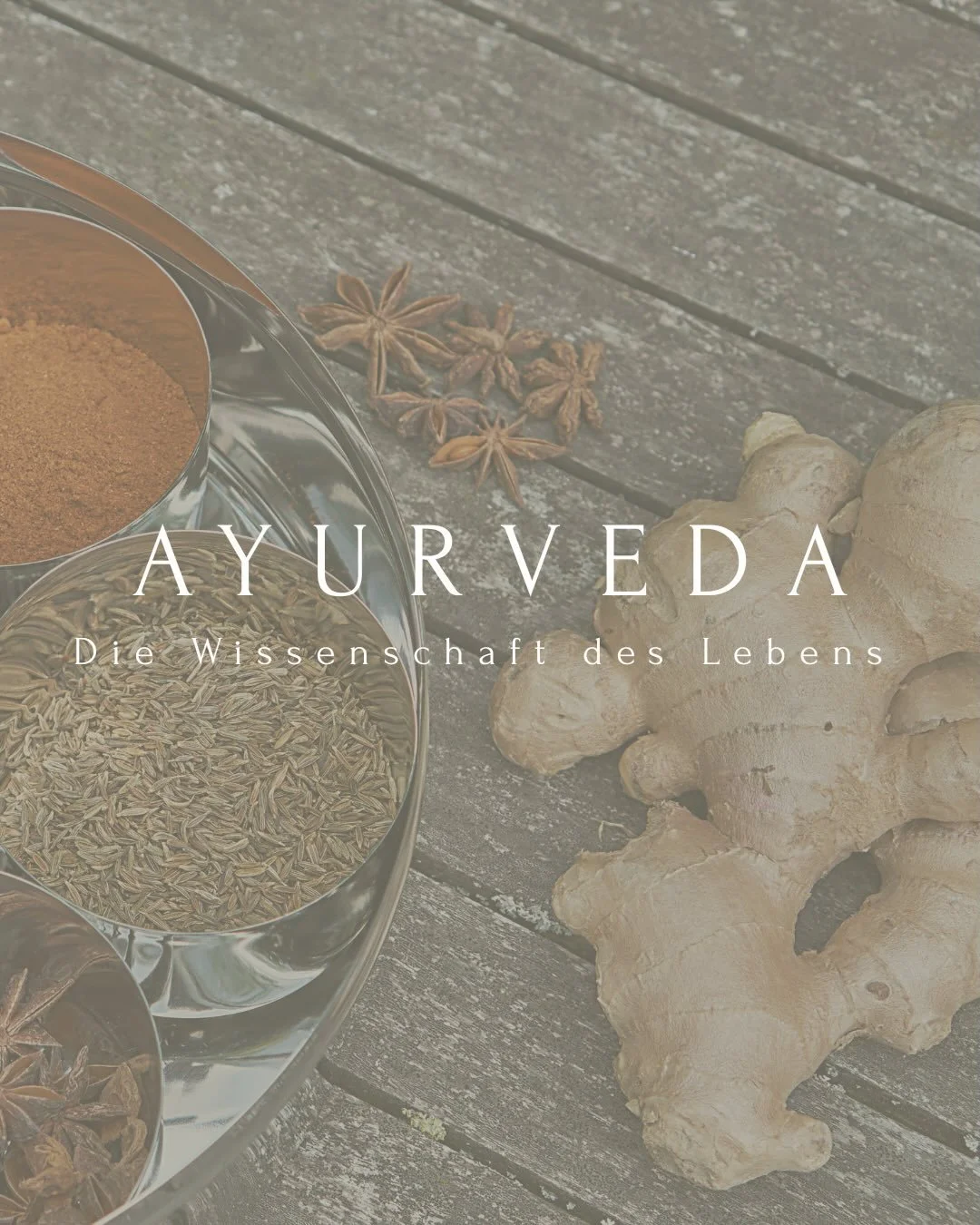 Ayurveda erinnert uns daran, dass die Elemente nicht nur um uns existieren, sondern in uns leben.
Leichtigkeit, W&auml;rme, Stabilit&auml;t, Weite, Verbindung...
Qualit&auml;ten, die unser inneres Erleben formen und jeden Tag auf ihre eigene Weise sp