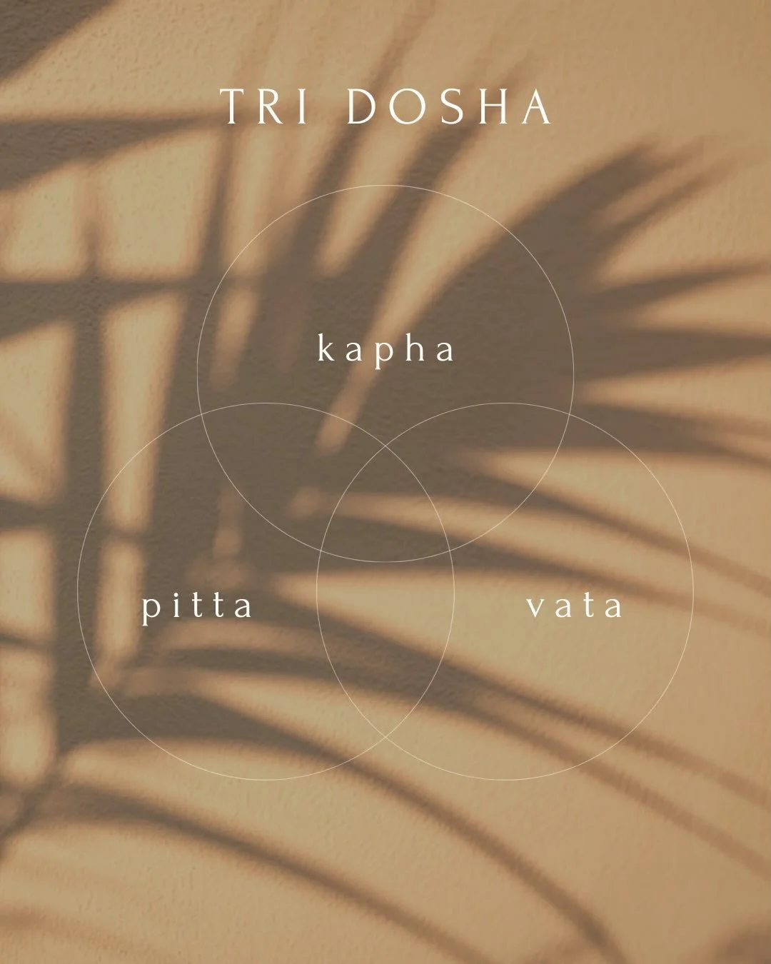 Vielleicht hast du dich in einem der Doshas wiedergefunden.
In dem, was dich tr&auml;gt .. und in dem, was dich manchmal aus dem Gleichgewicht bringt.

Ayurveda erinnert uns daran, dass wir Teil des gr&ouml;&szlig;eren Ganzen sind. Teil der Rhythmen.