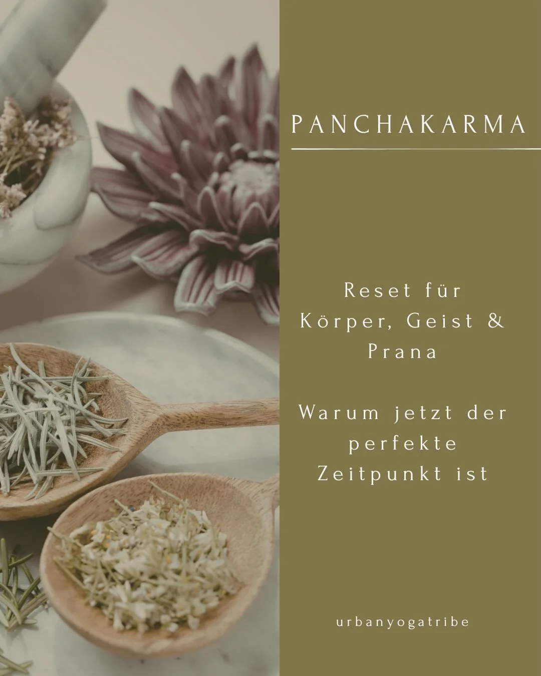 Der Fr&uuml;hling tr&auml;gt die Qualit&auml;t von Kapha 🌀
eine Zeit des L&ouml;sens, des &Uuml;bergangs und des inneren Kl&auml;rens.
Alles Alte darf in dieser Zeit abgestreift, losgelassen und weitergegeben werden. Zur&uuml;ck in die Erde. Dorthin