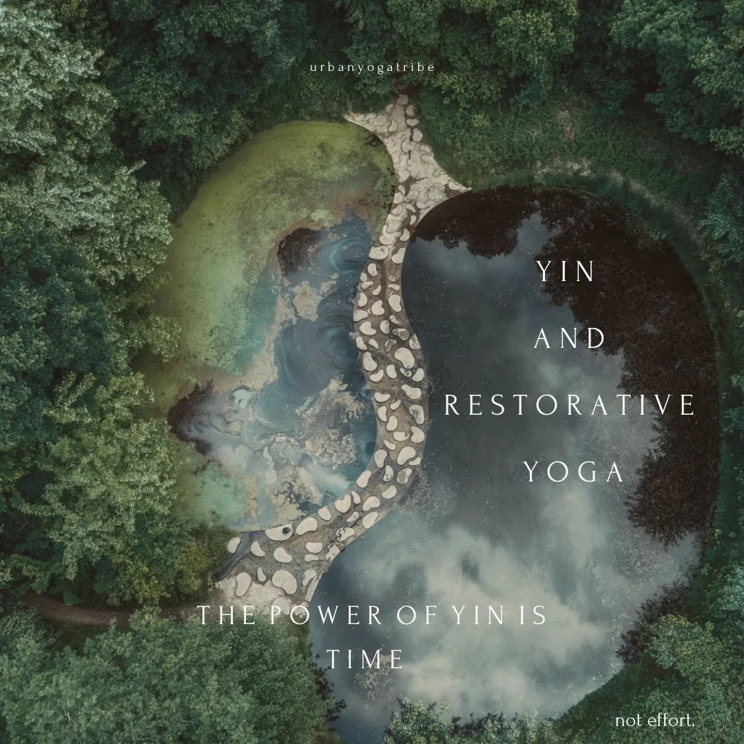 Yin &amp; Restorative Yoga erinnern uns daran, dass Tiefe nicht durch mehr Tun entsteht .. sondern durch Lauschen, Weichwerden und das bewusste Zur&uuml;ckkehren in den K&ouml;rper. 🌀

Vom 24. &ndash; 31. Oktober 2026 &ouml;ffnen wir daf&uuml;r auf 