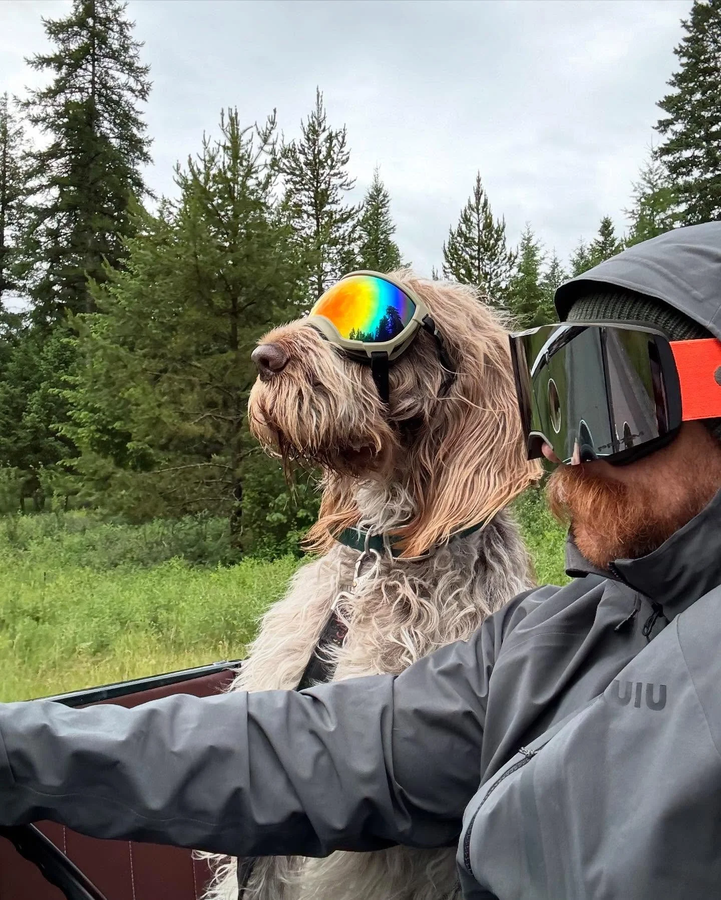 Options for captions: 
1. How our emails are finding you. 
2. How your emails are finding us. 
3. Ciao ciao for now! 
4. New phone, who dis? 
@montanadelnorte for the win, regardless. And Hank. 

Happy holiday y&rsquo;all&mdash;seems like this holida