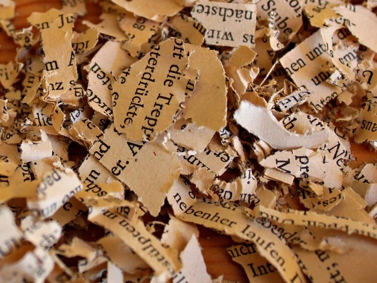 Elephant Rock’s First Manuscript Clinic!