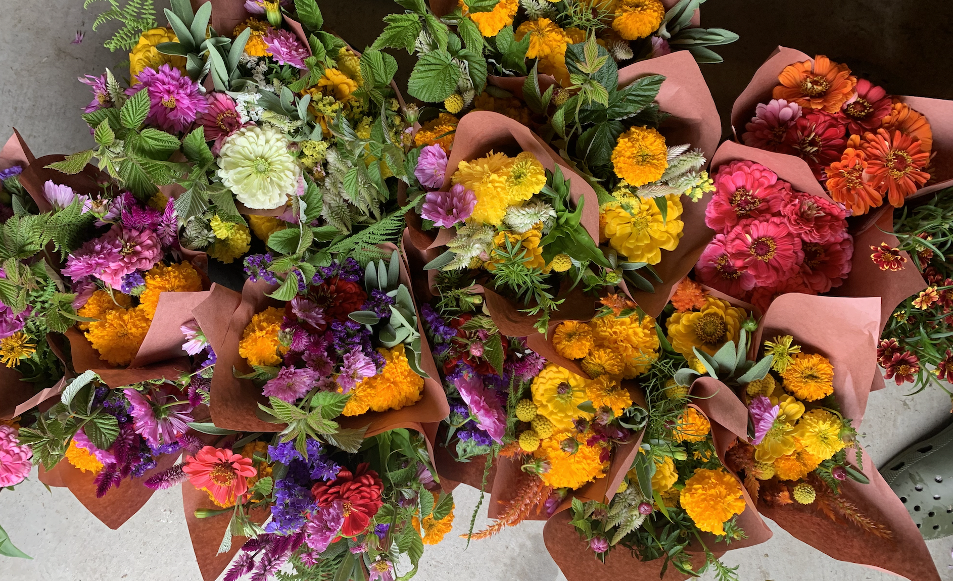 Screen Shot 2026-01-23 at 11.07.09 AM.png