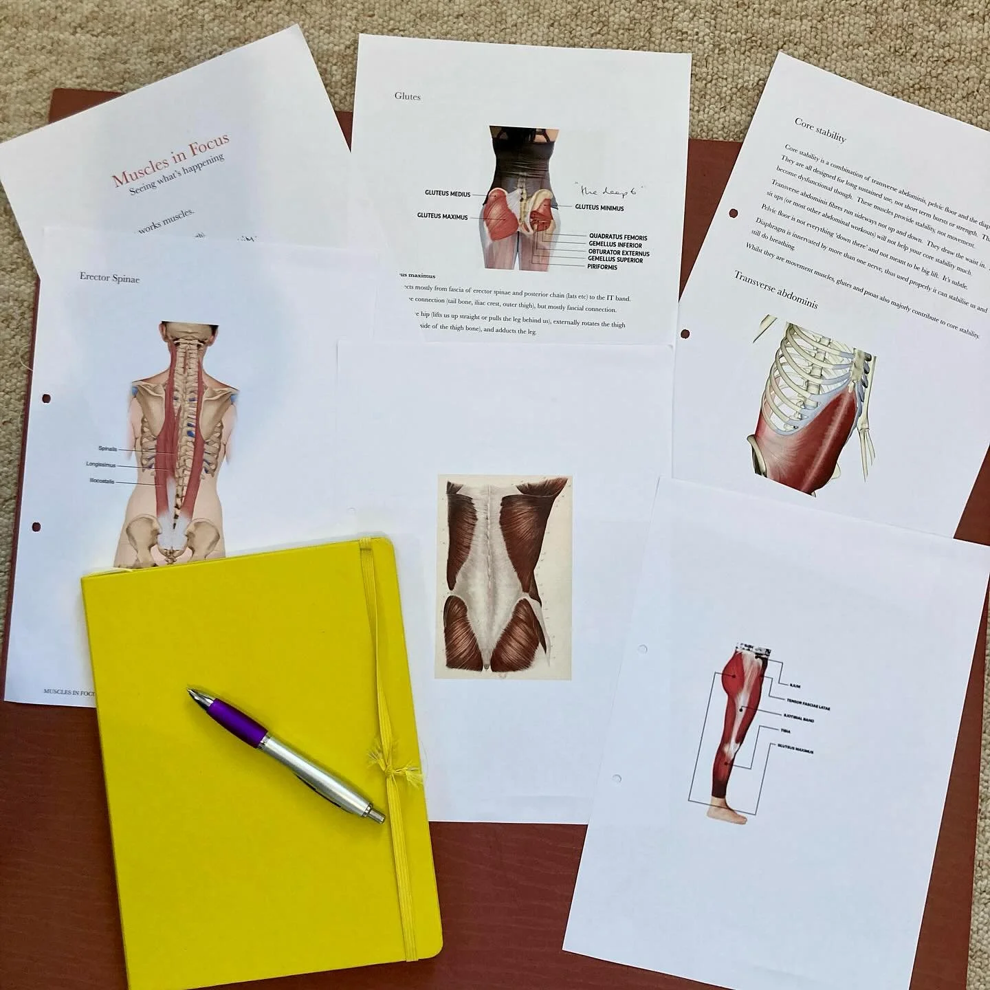 I spent the weekend learning&hellip; my favourite thing to do! Who knew we could spend so much time talking about bottoms?! 😂. The subject was Muscles in Focus, delivered by @yoga_and_ian of @orangeyoga_education and held at @orangeyoga_studio . We 