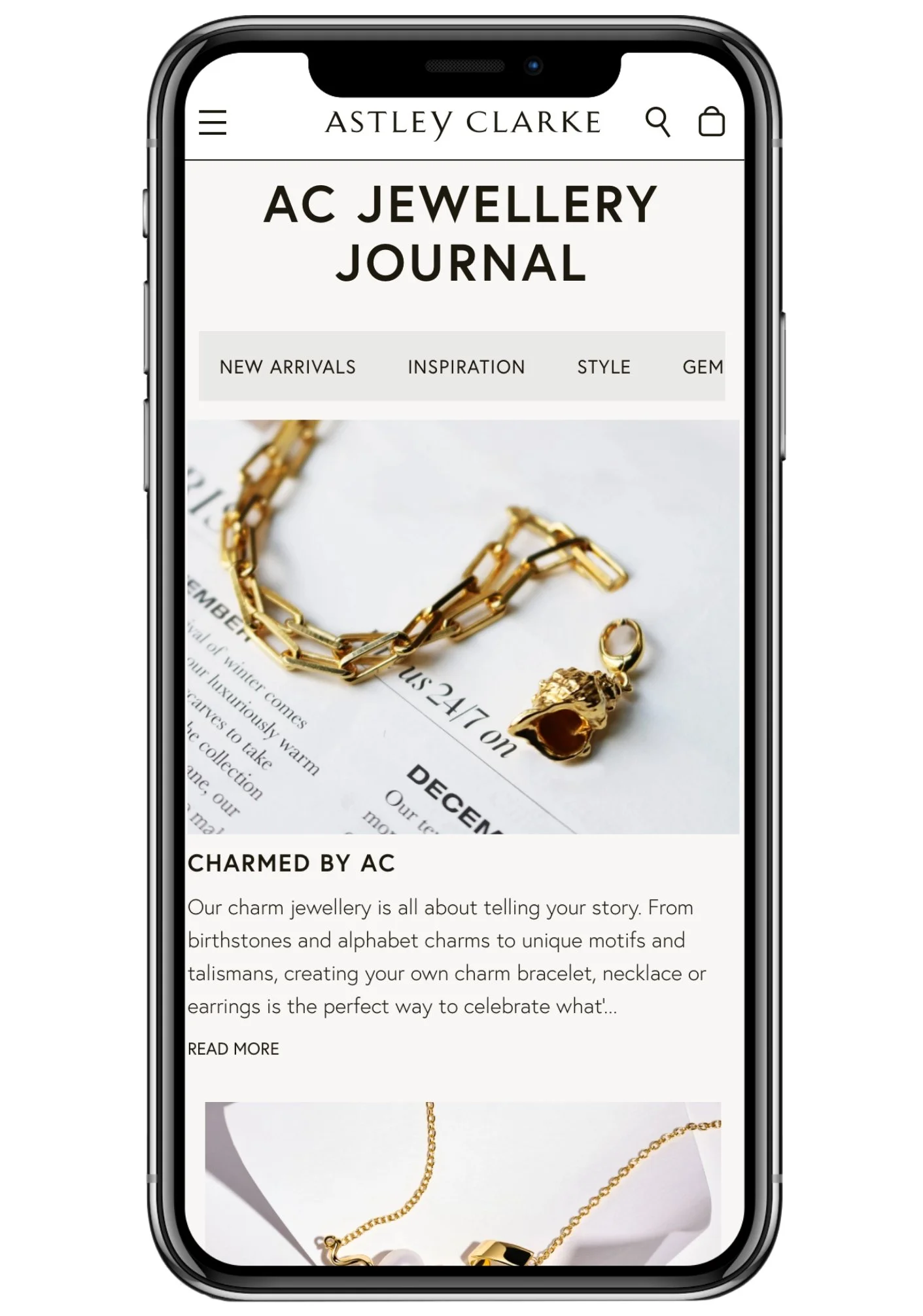 AC Journal.jpg