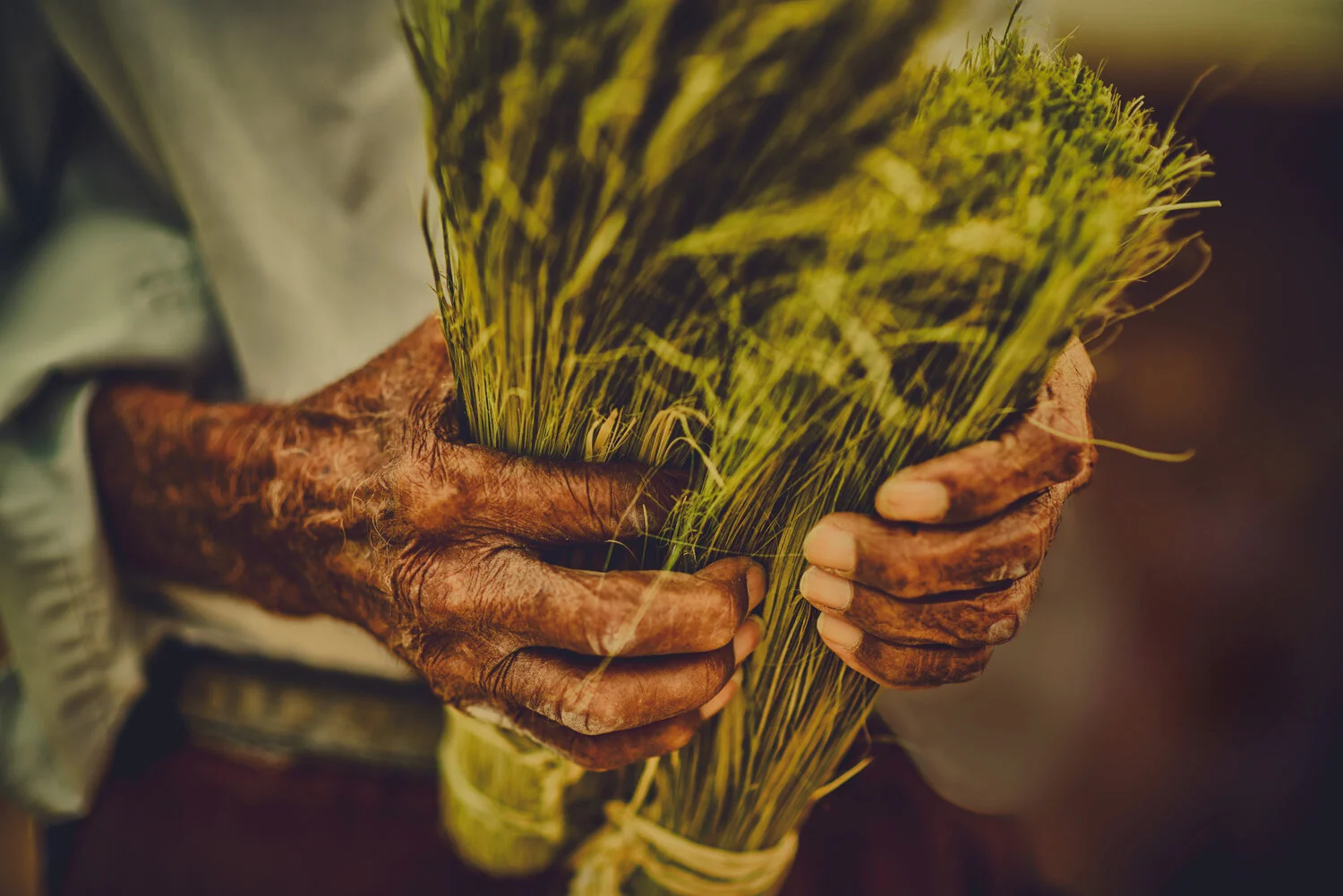 CUBA-BRUSH-HANDS.jpg