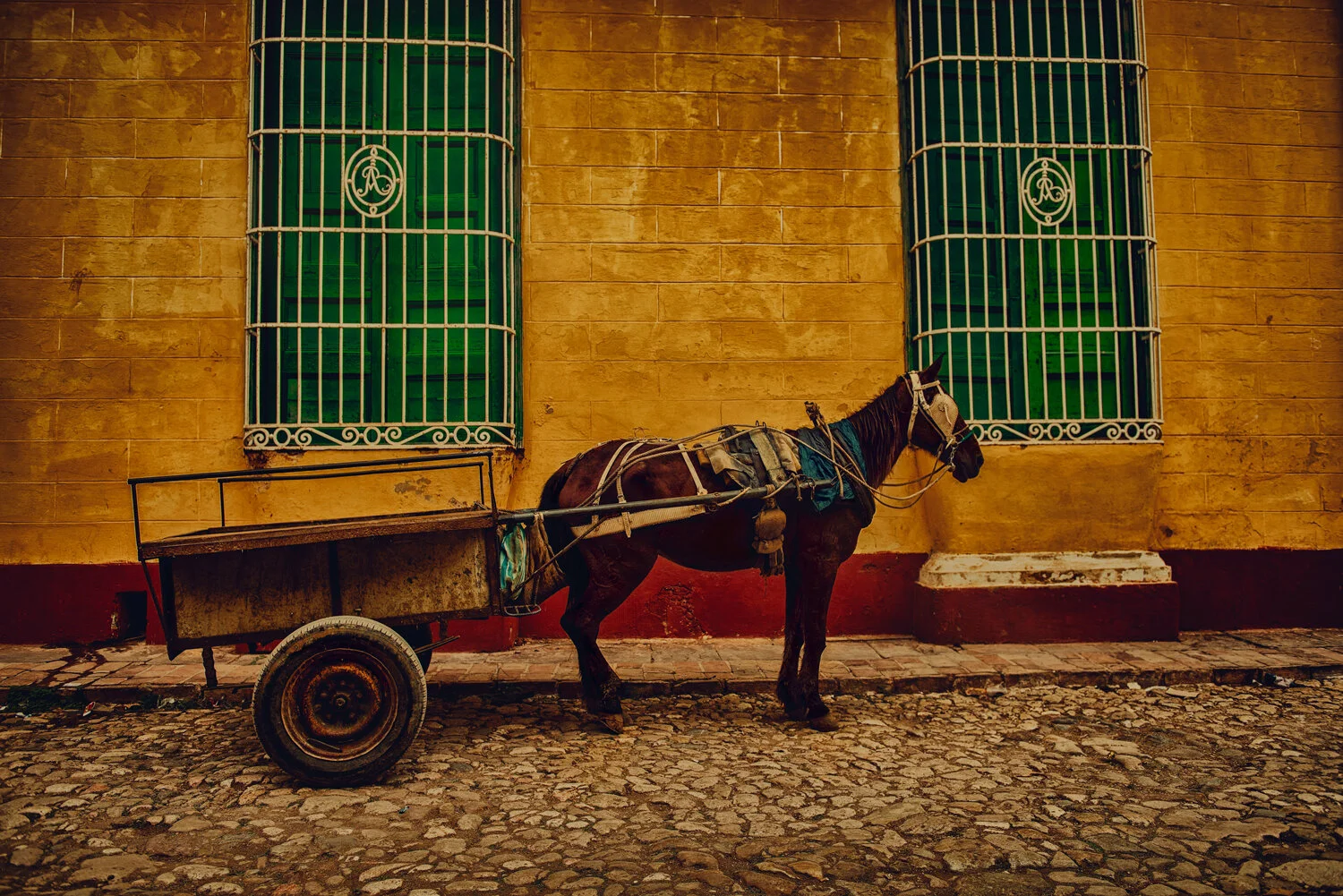 CUBA-HORSE-CART-ALONE.jpg