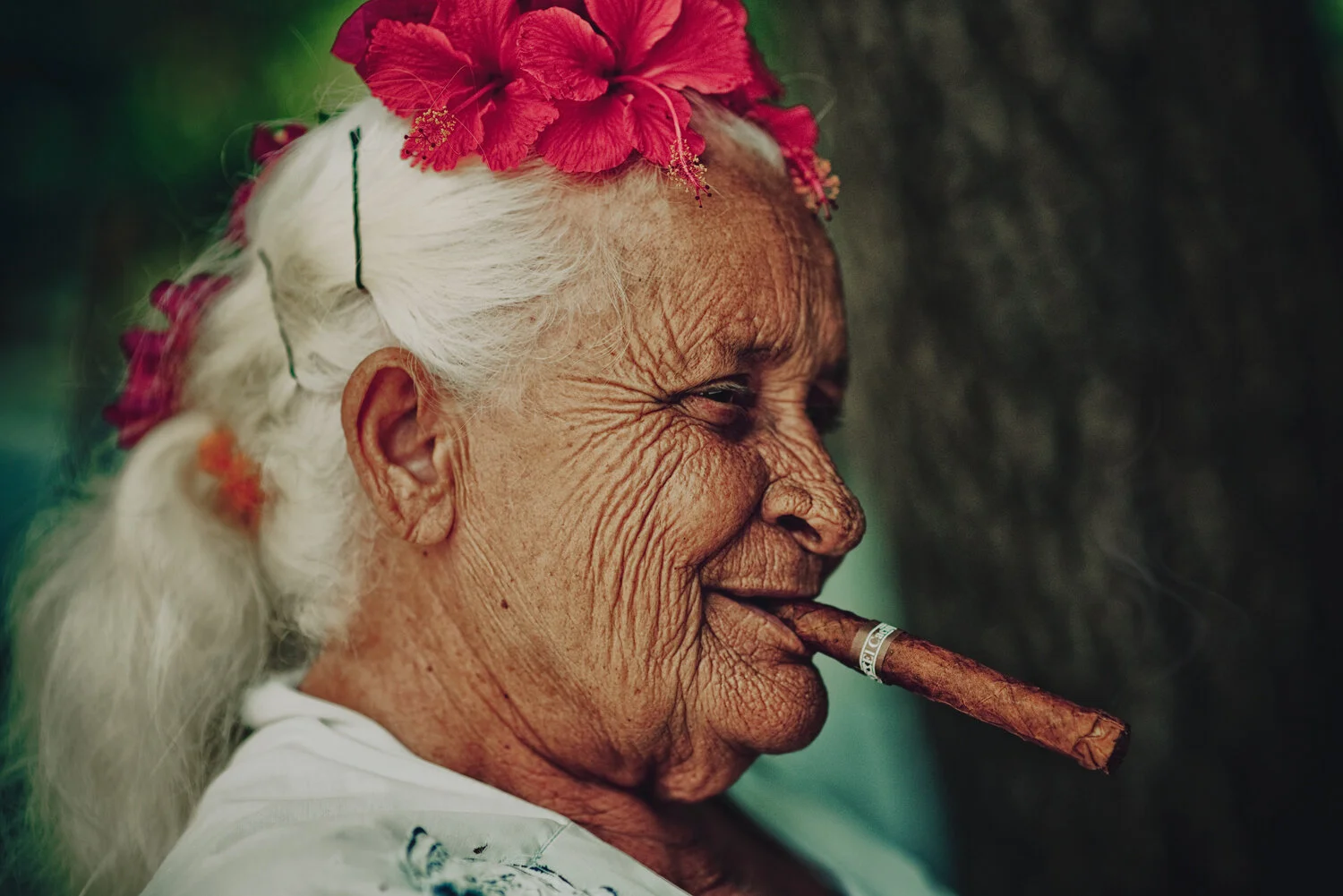 Cuba_dec_2018_flower_cigar.GHB_1925.jpg