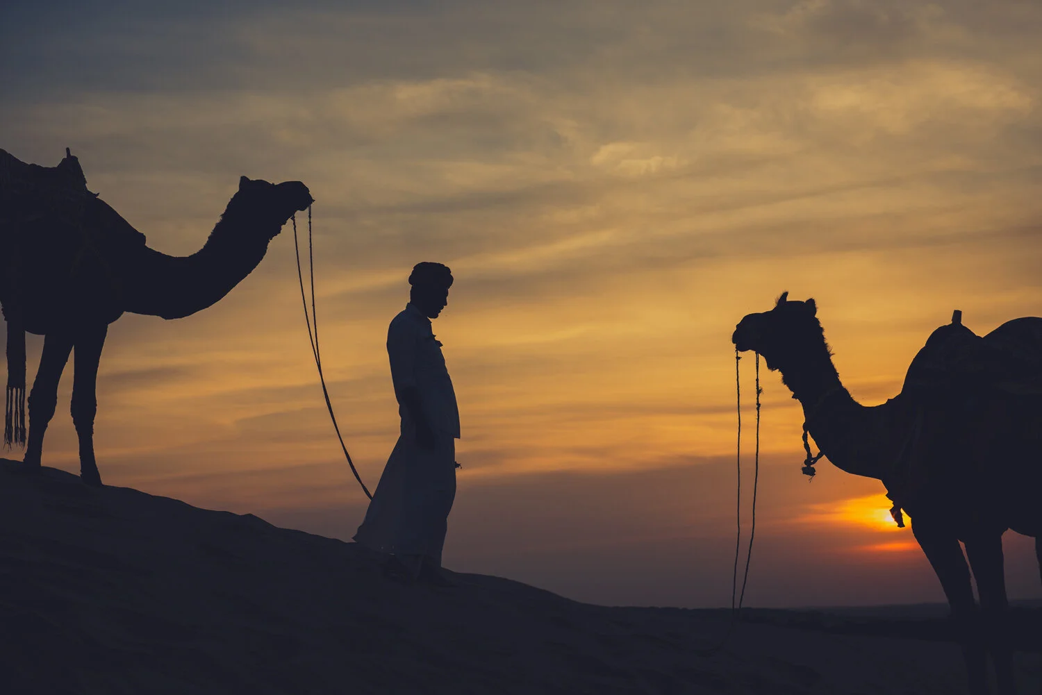 2-CAMELS-RIDER-SUNSET.jpg