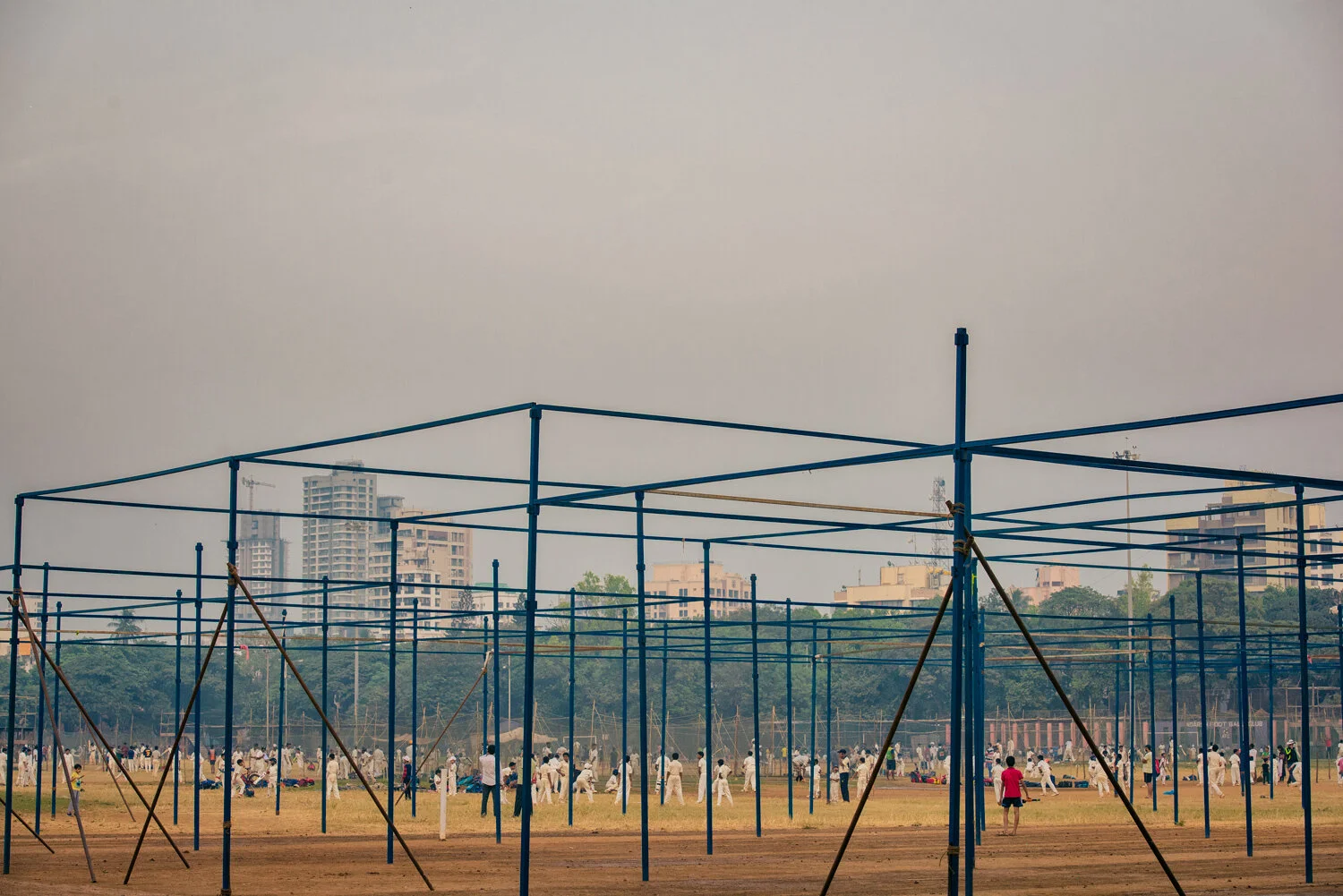 CRICKET-WIDE.jpg