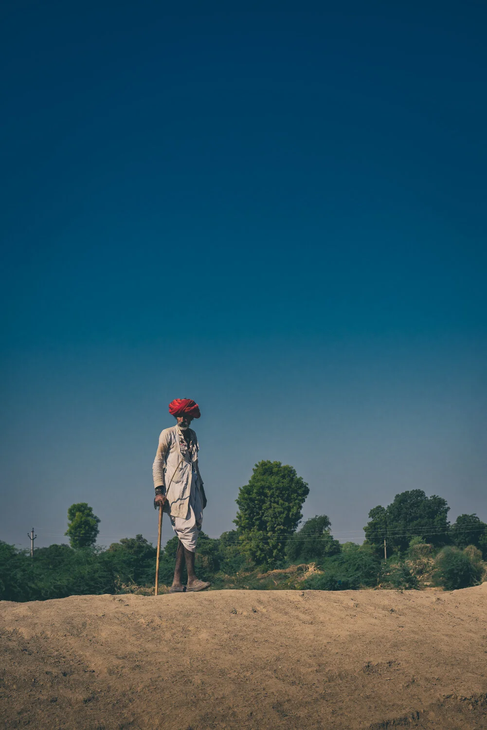 HERDER-WIDE-ALONE.jpg