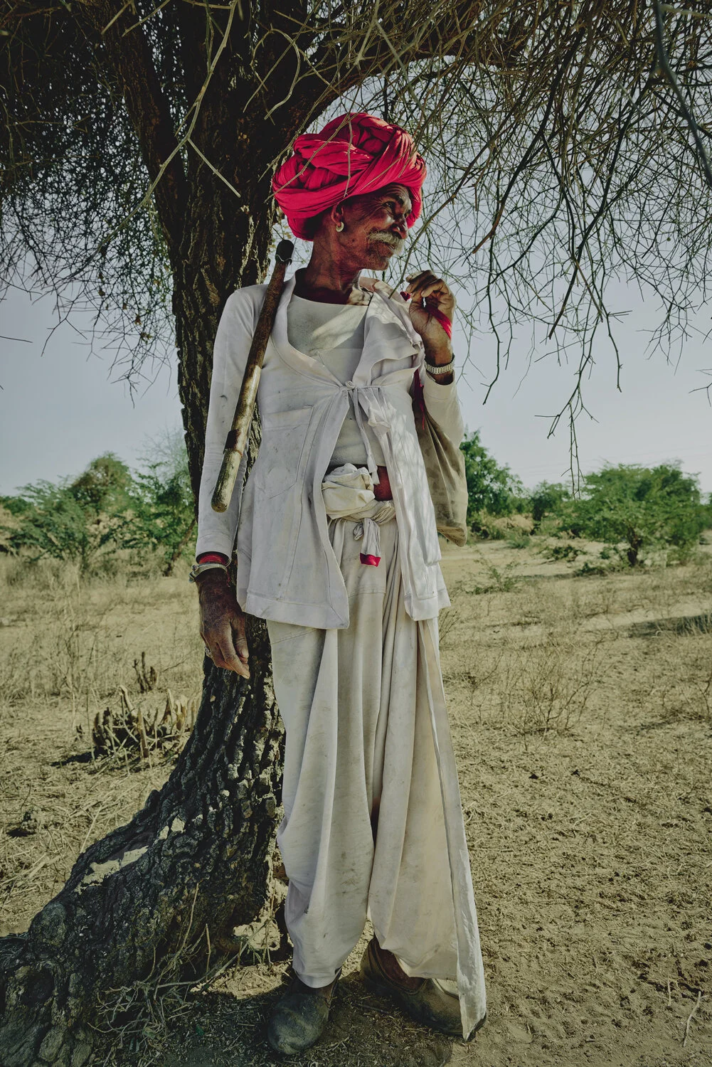 HERDER-WITH-TREE.jpg