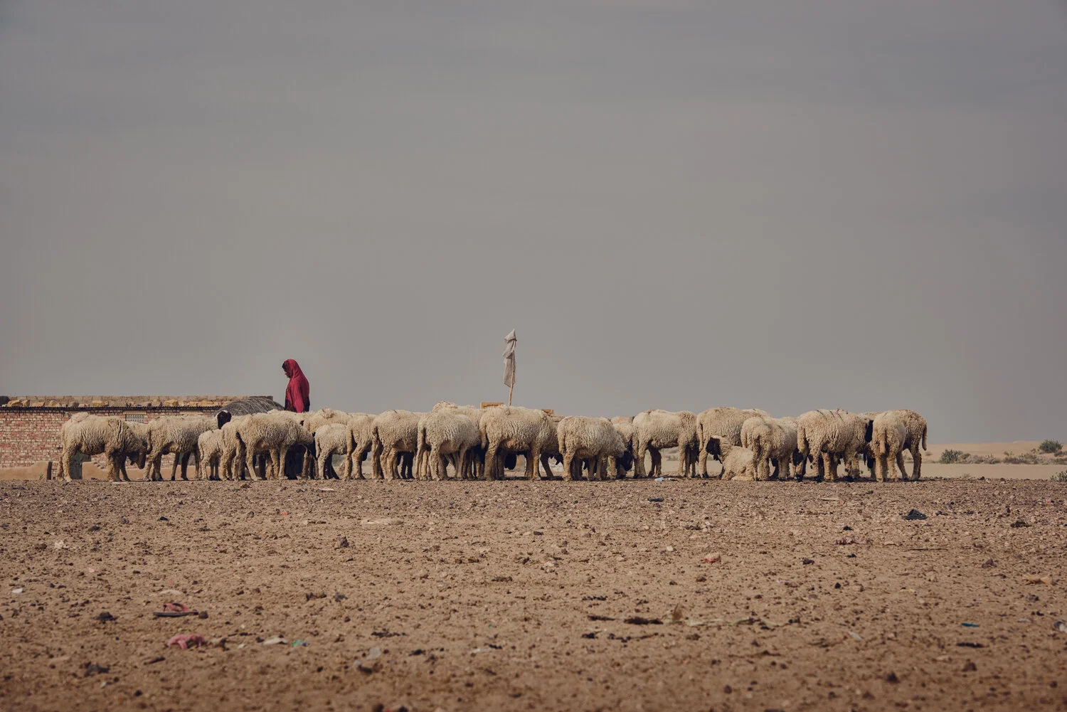 WOMAN-HERDER-WIDE.jpg