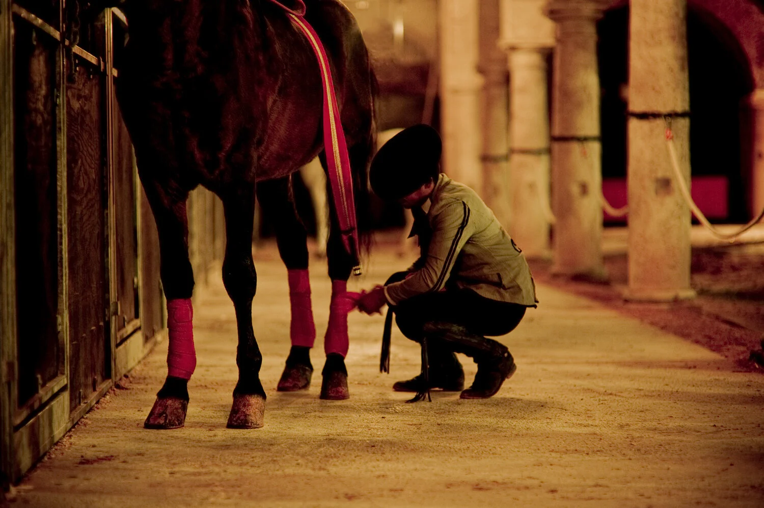 HORSE_LEGGINGS.jpg