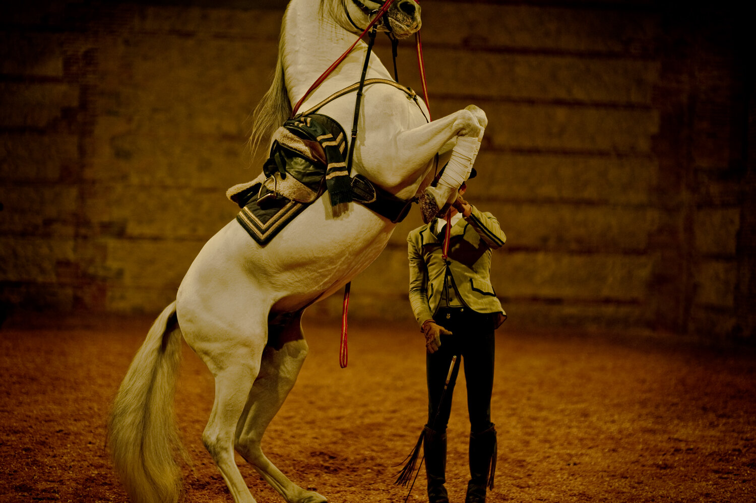 HORSEJUMP.CROP.jpg