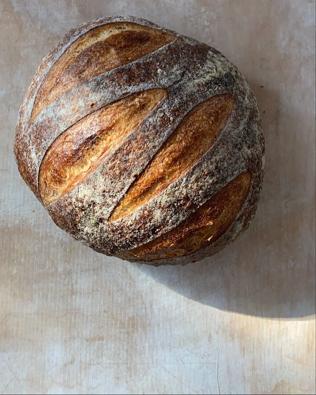 We exclusively use filtered water 🤍

Because water is one of the main ingredients of our breads and because we believe water retains energetic memory patterns influenced by its surroundings, we give special care to the water that is used for making 