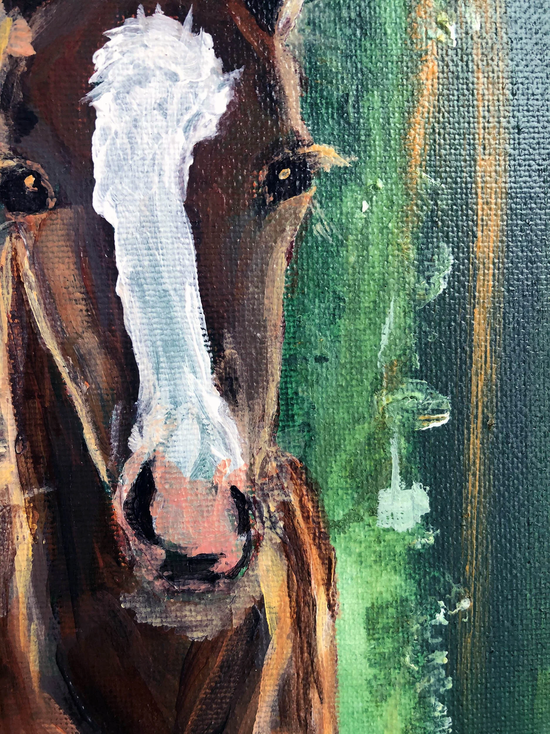 Horse close up 2_edited.jpg