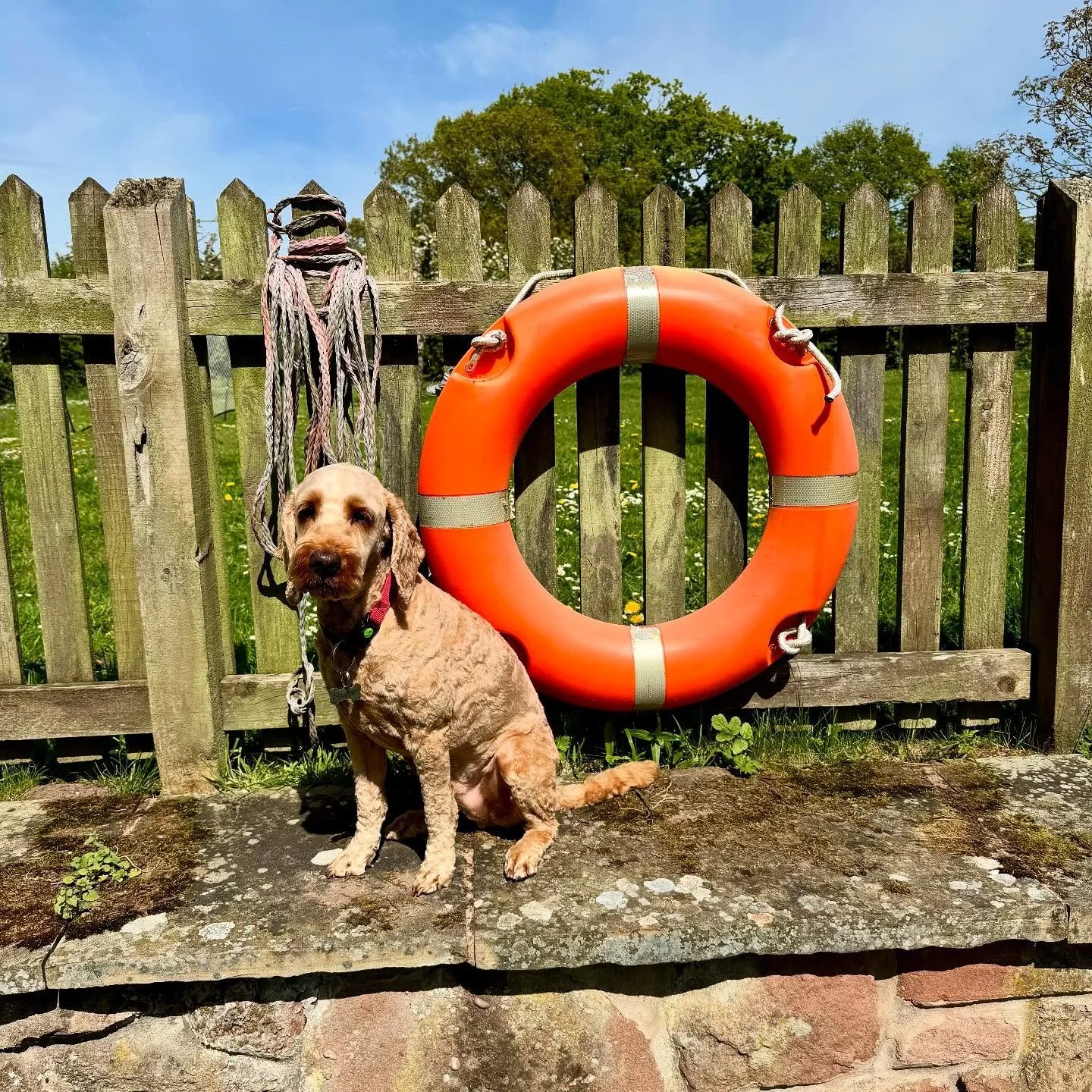 Hi everyone!
I hope you’re having a good summer. Emails for our new term have gone out this morning. Me and Ted are looking forward to seeing you all soon xx