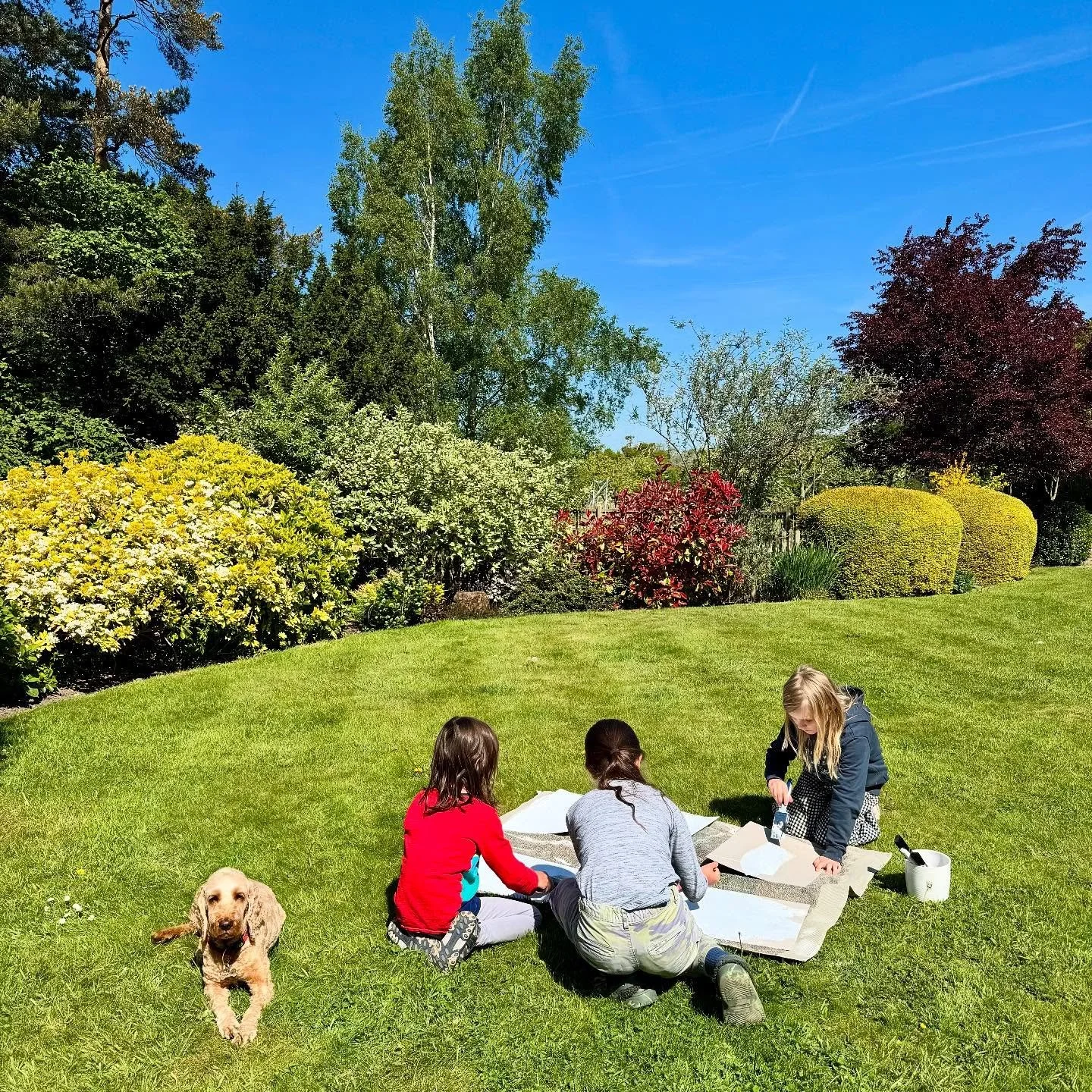 Students have also painted their boards ready for next week ππΌ