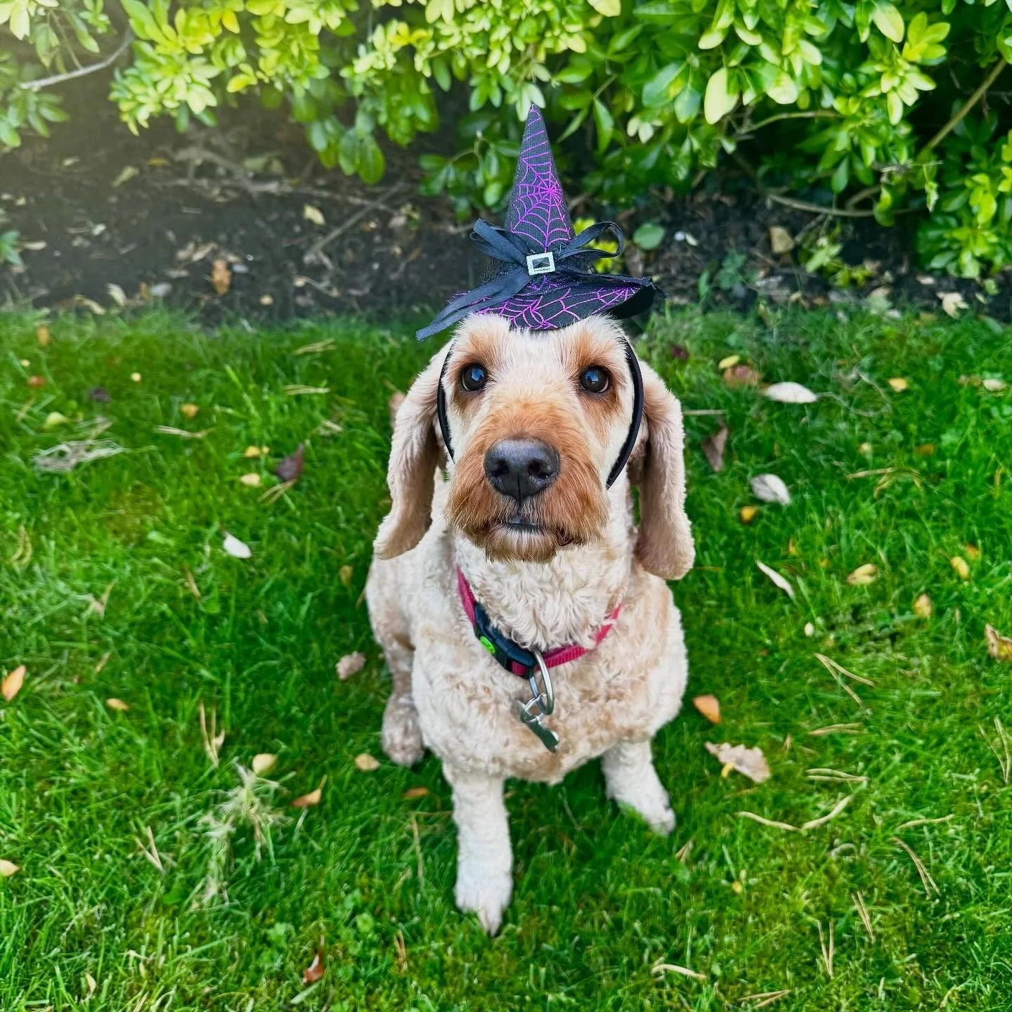 Hi everyone, emails for next term went out this morning. Whoop whoop! Have a good week ππππ» xxx