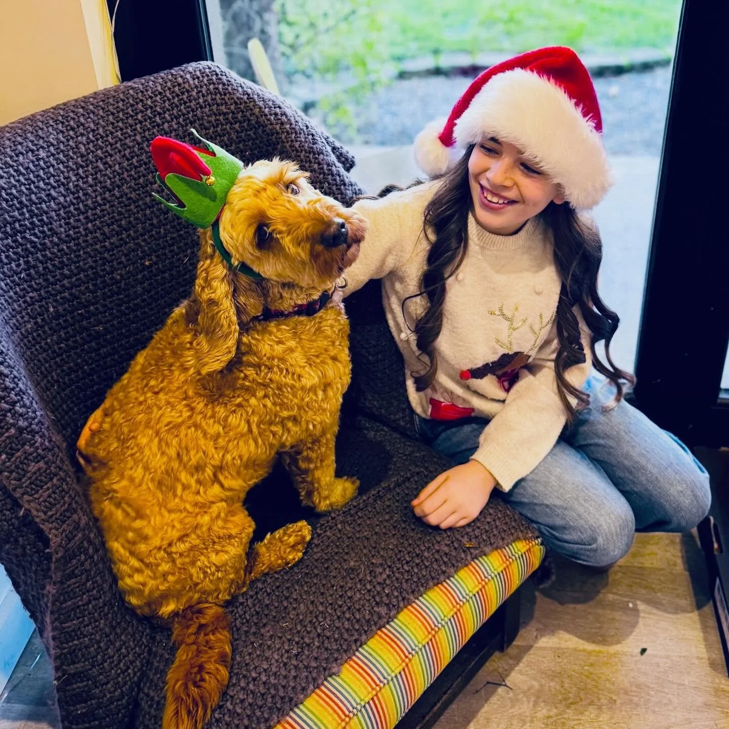 Merry Christmas everyone! Have a wonderful holiday, see you in 2026 🥳 x
.
.
.
.
.
#merrychristmaseveryone #christmasholidays