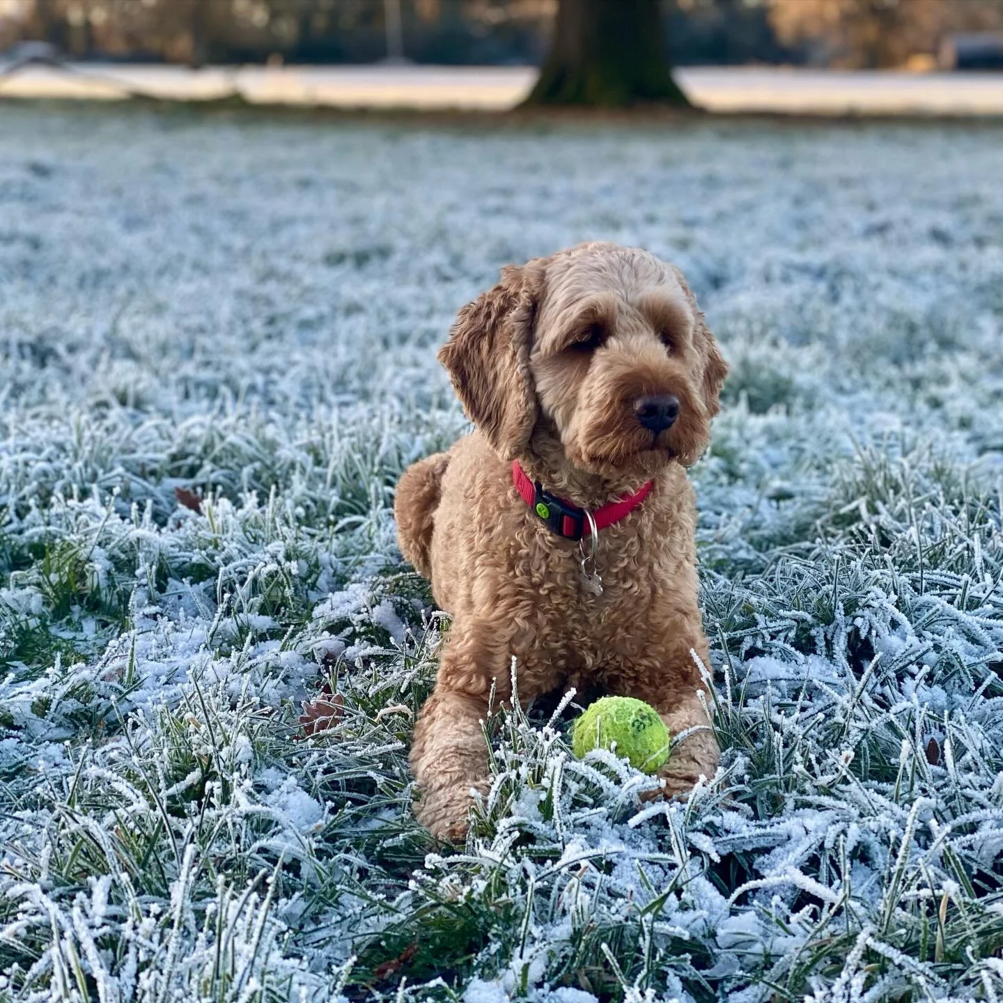 Hi everyone! 😃

Lessons start back this week - emails went out on the 30th of December. I can&rsquo;t wait to see you all, wahooo! x