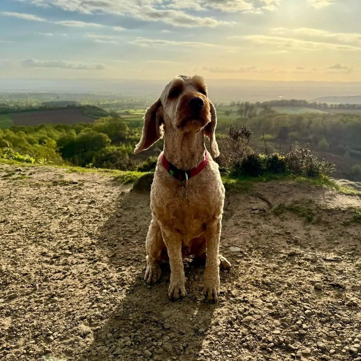 Hello! 👋🏼 Emails went out today&hellip; we return to the studio week beginning Monday 2nd of March. 

Enjoy half term, and I look forward to seeing you in two weeks. Wahoo! xx