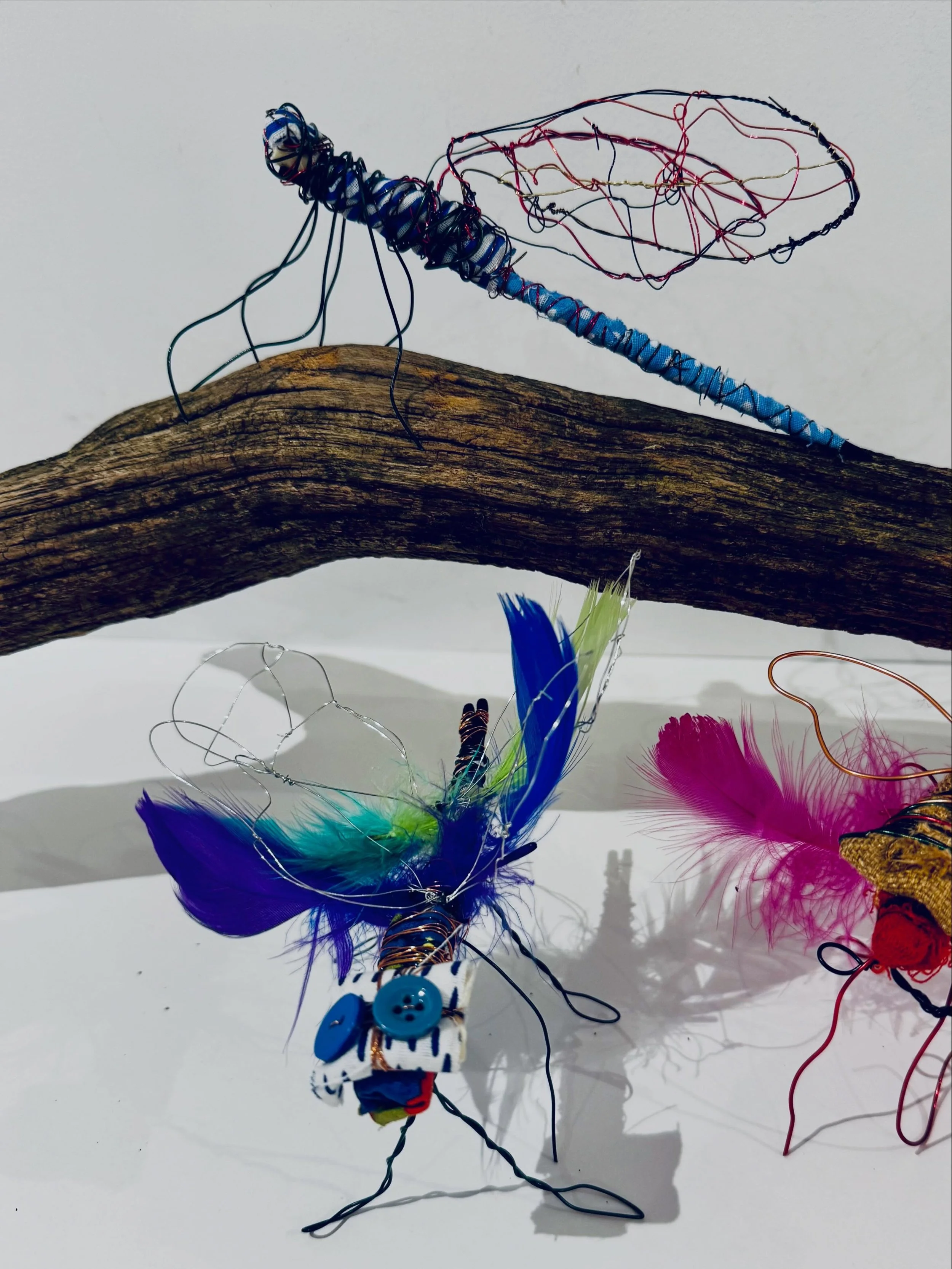 Wire Sculptures 😍

In the studio this week, students have been making wire sculptures. They are fabulous!

We began the session observing images of insects and creating a continual line drawing, encouraging students to look. These drawings were then