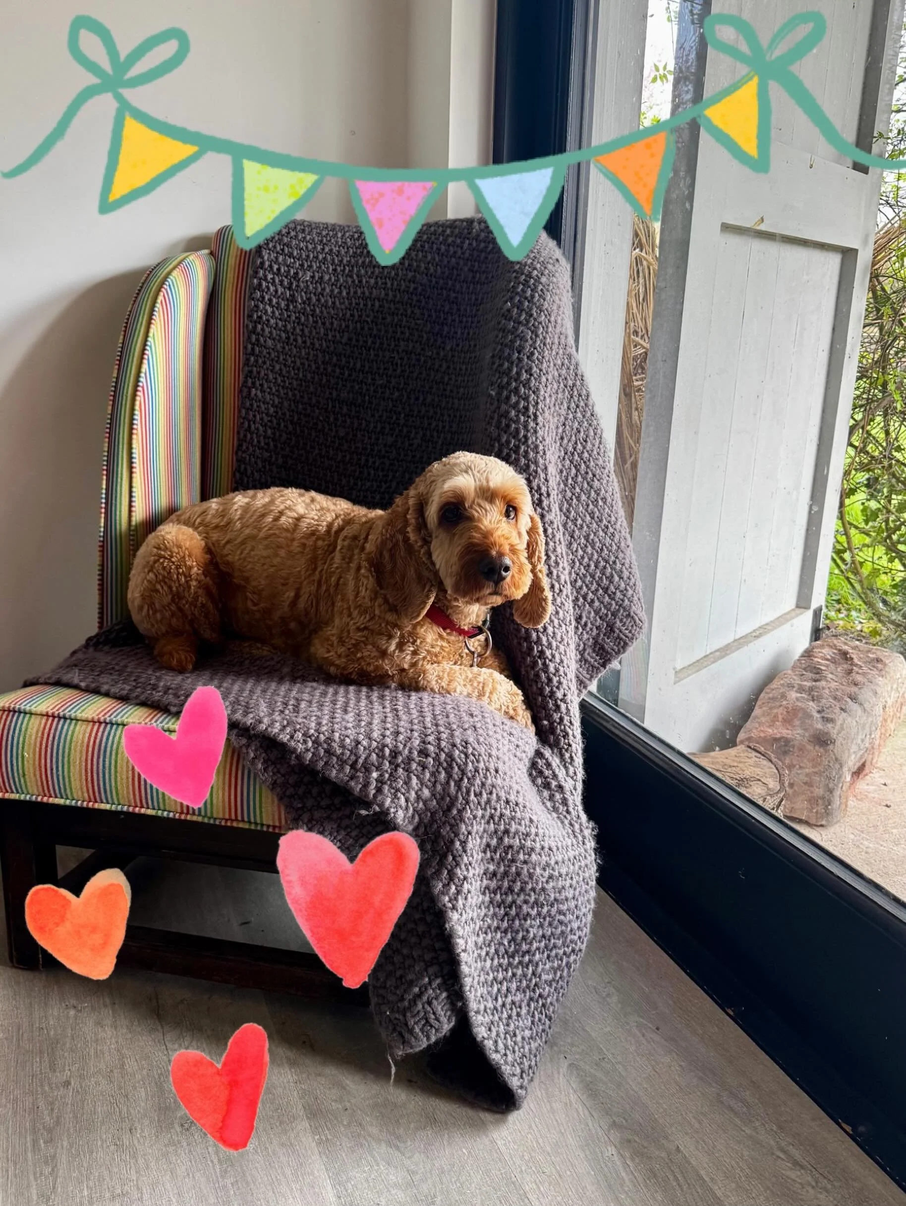 Hi everyone! ☀️☀️☀️

I&rsquo;ve just sent out emails for next term. 

Me and Ted are looking forward to seeing you all next week, whoop whoop! 💖🐾