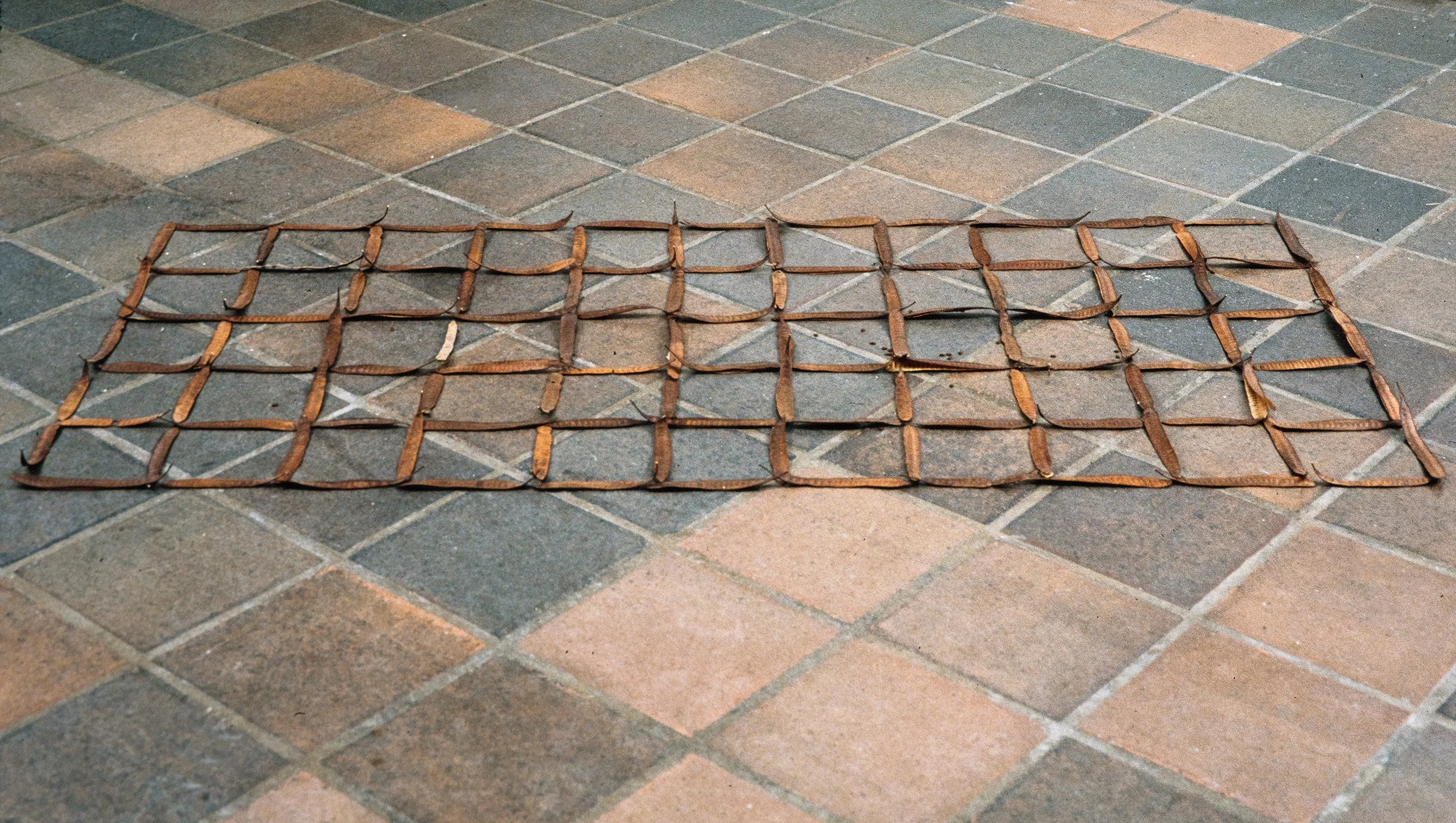 Matthew Deleget, Centripetal Rattle Seed Grid, 1995, Seed pods, 50 x 30 x 1 inches