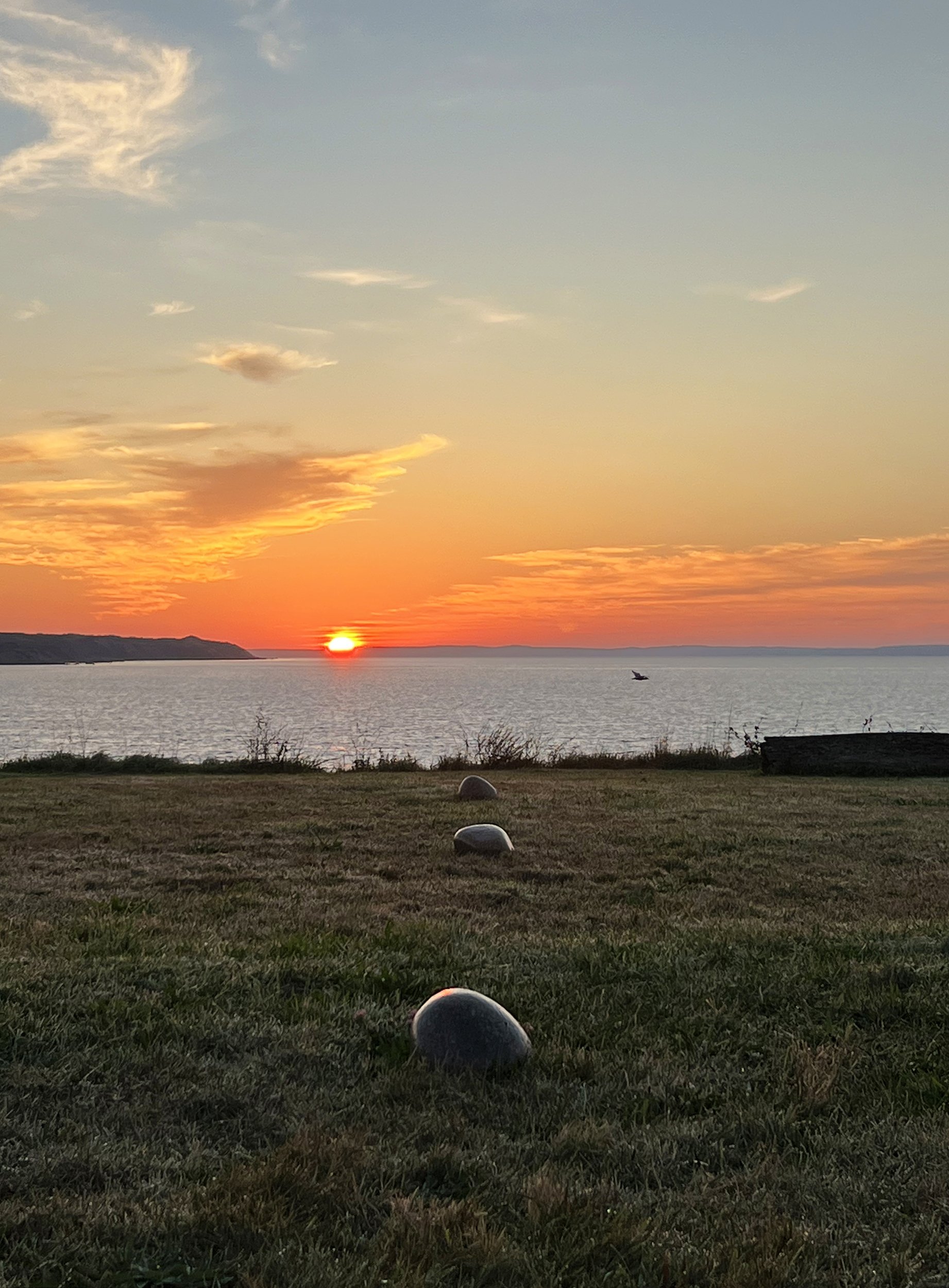 Sunrise facing due east with seagull, September 15, 2025, 6:26am EST
