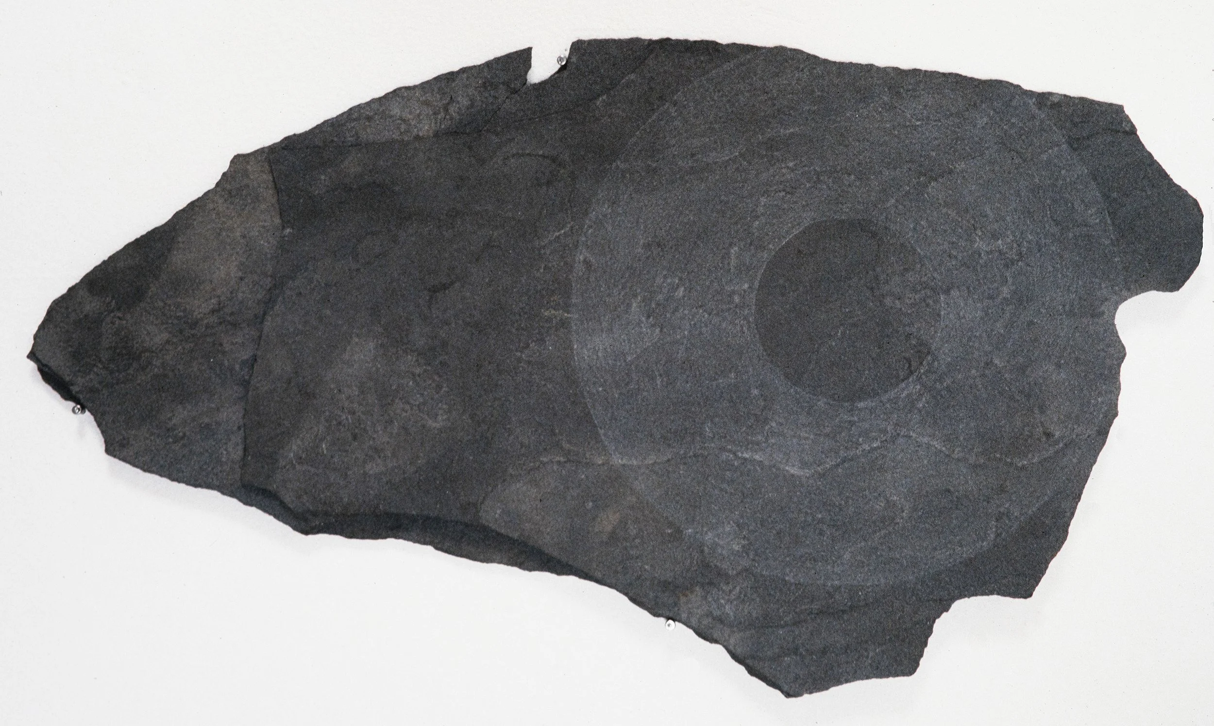 Matthew Deleget, Petroglyph (Umbra 1), 1996, Scraped slate stone, 16 x 9 inches