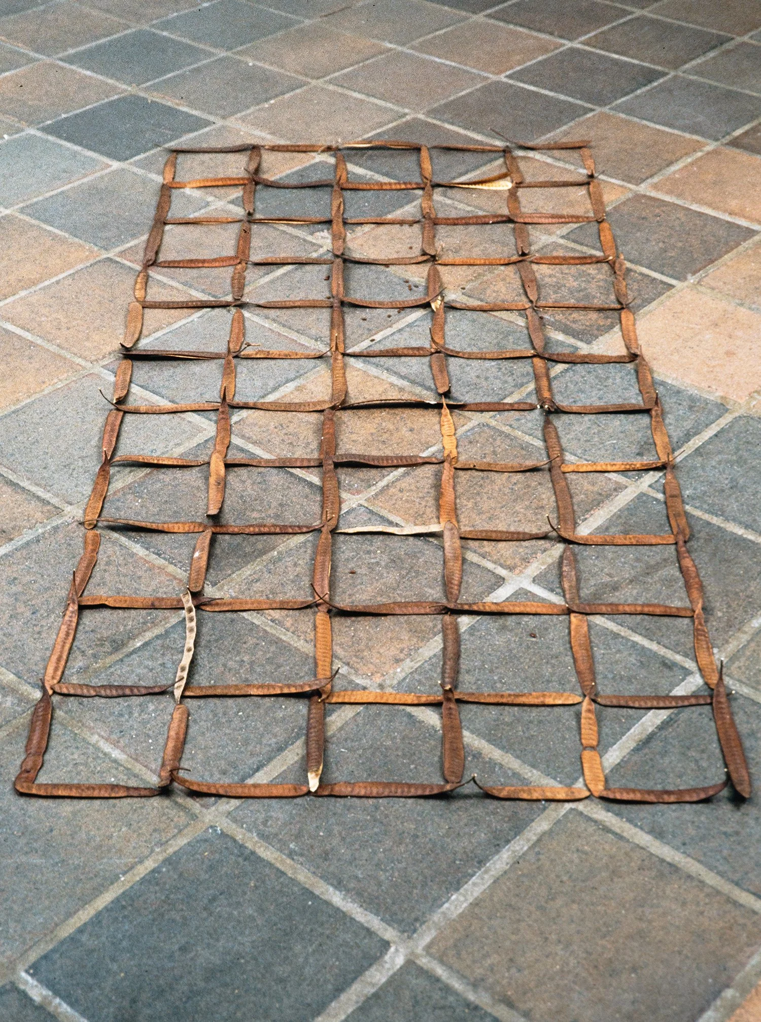 Matthew Deleget, Centripetal Rattle Seed Grid, 1995, Seed pods, 50 x 30 x 1 inches