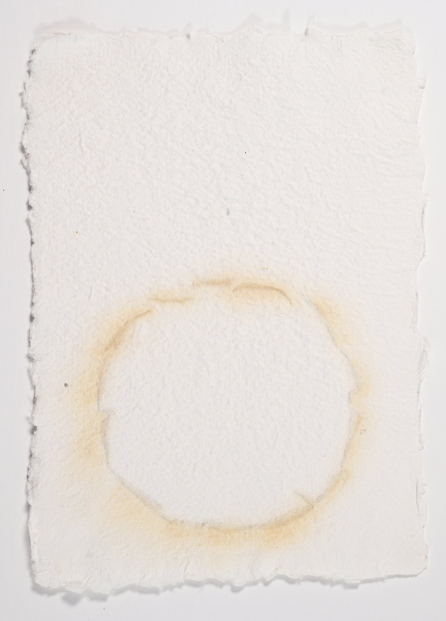 Matthew Deleget, Petal Umbra, 1995, Flower petals embedded in white handmade paper, 8.75 x 6 inches, #382