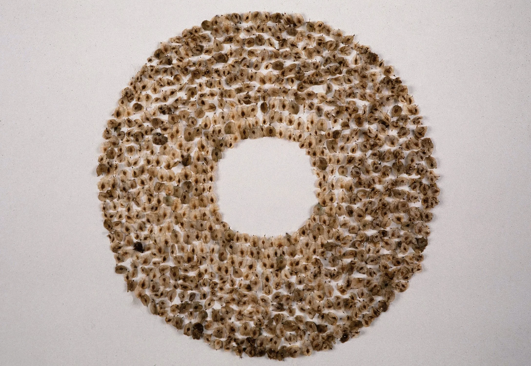 Matthew Deleget, Leaf Seed Umbra, 1995, Seeds, sewing pins, 24 inches diameter